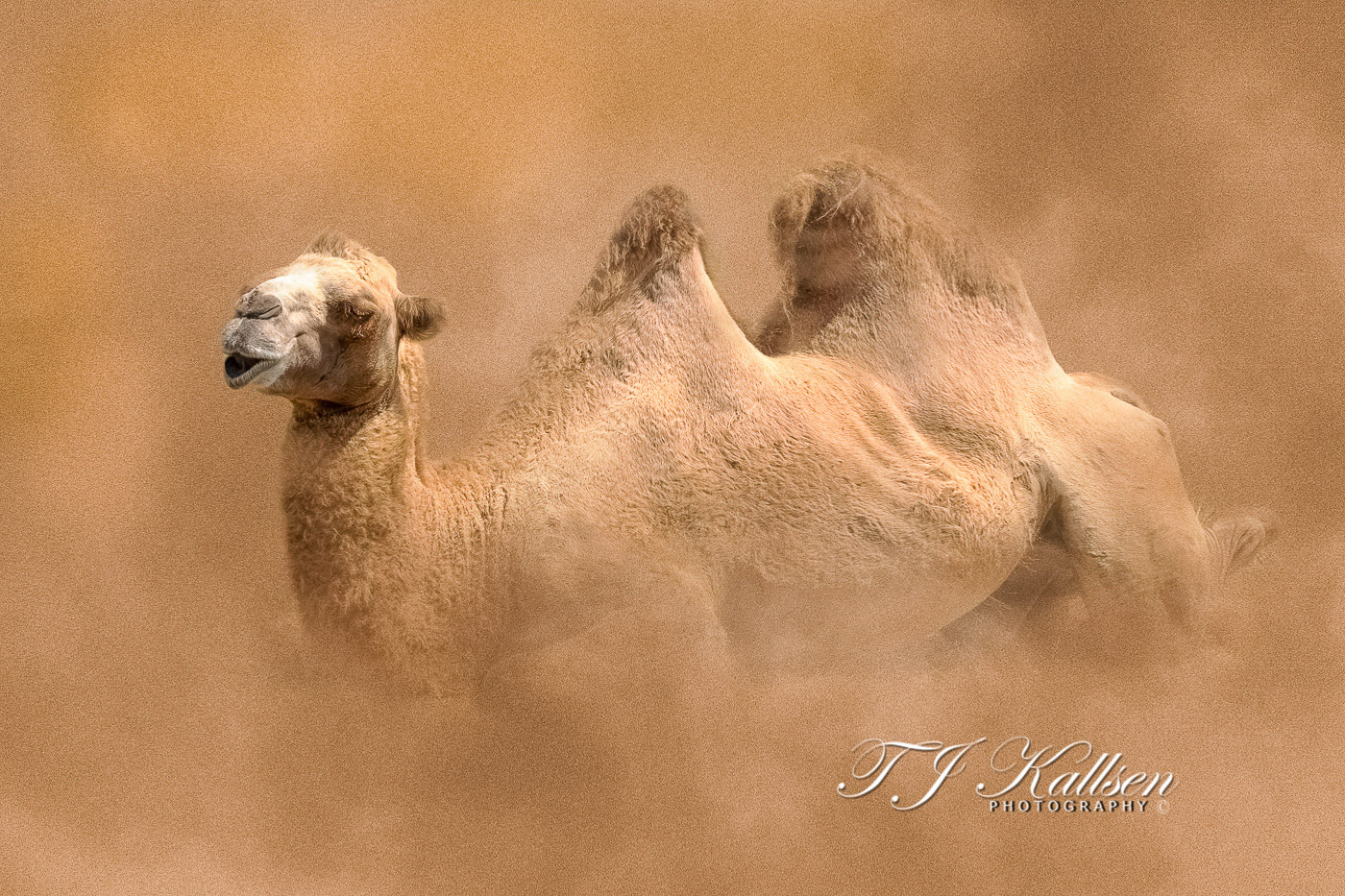 Waiting out the Sandstorm