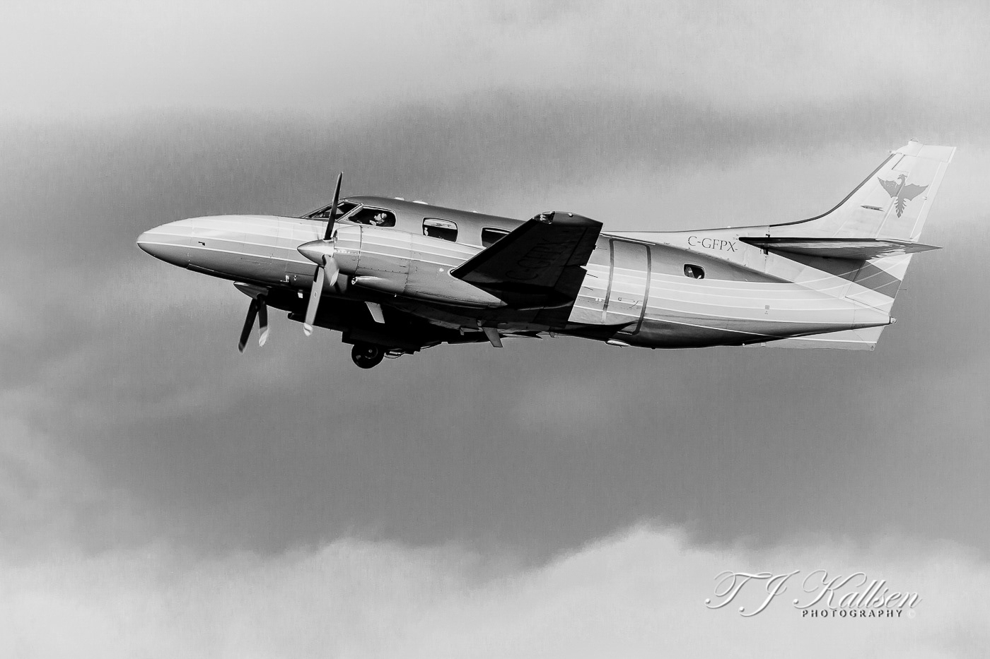 Pleasure Flight