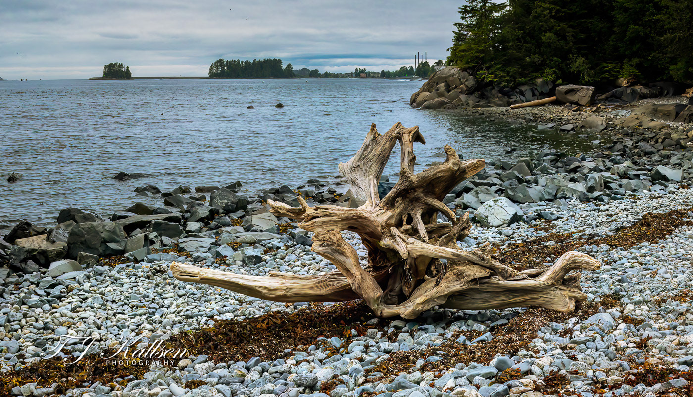 Rocky Shore