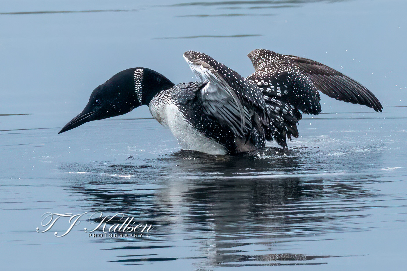 Loon Stretching