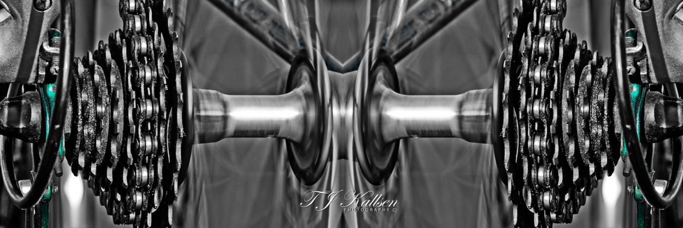 Wheels in Motion