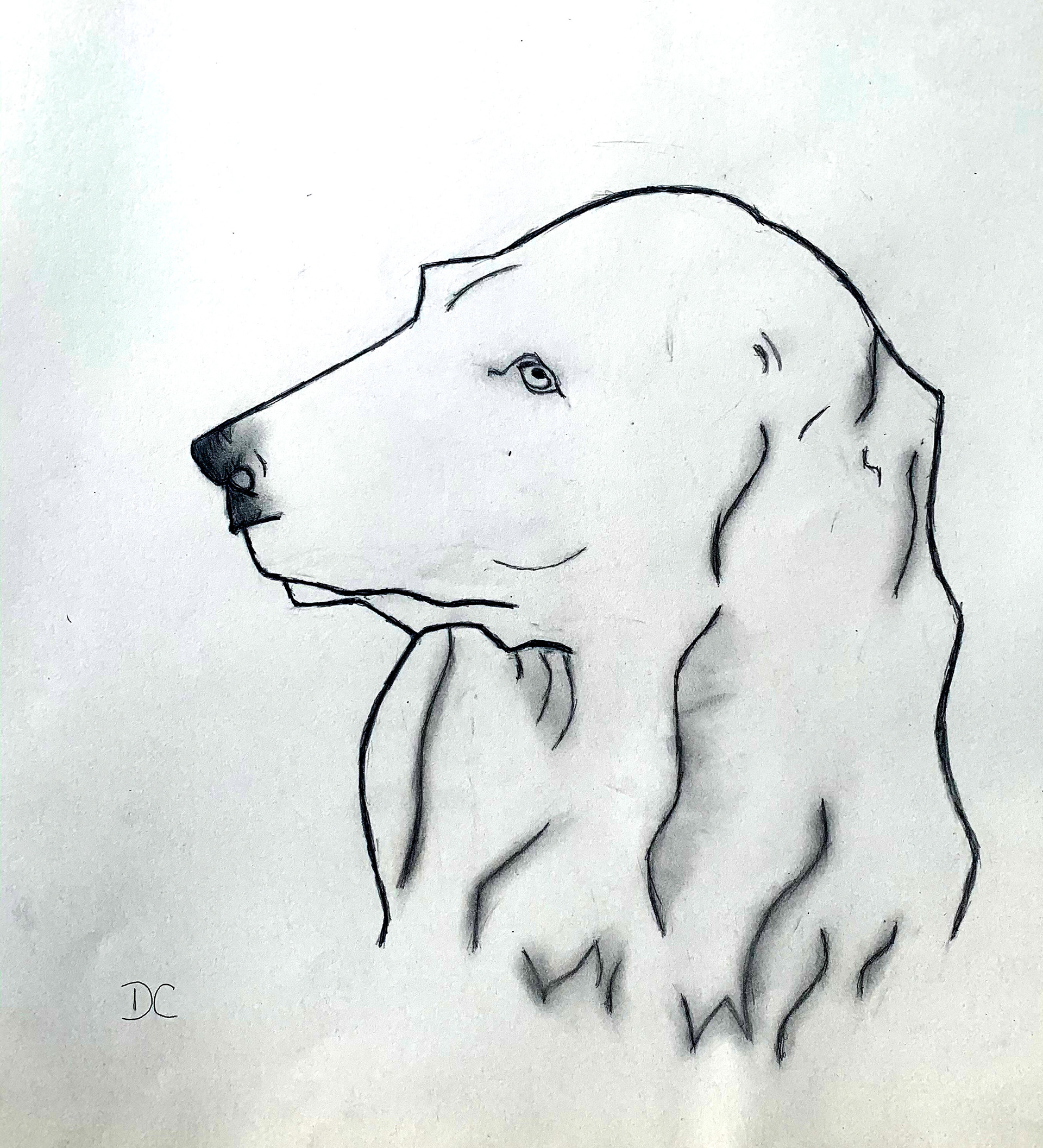 Daytona Crosby: "Dog Sketch" Drawing