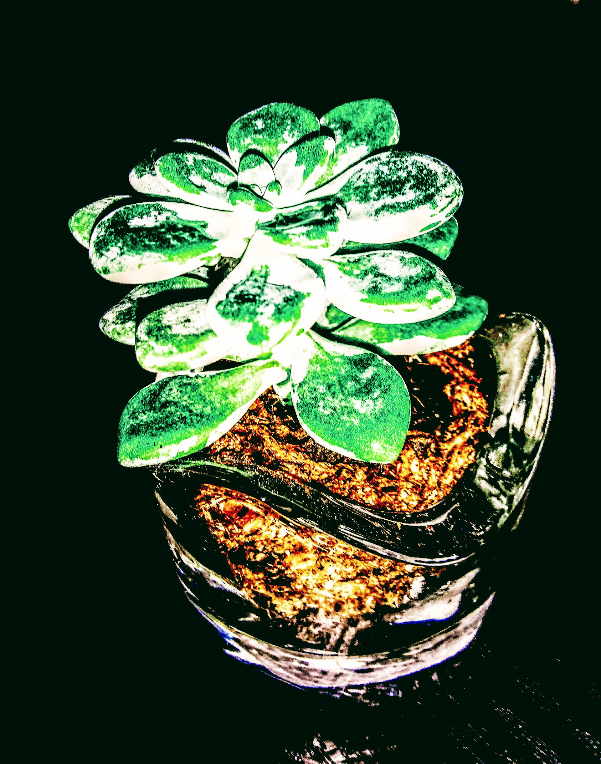 McKenzie Lindsey: "Untitled" Photography