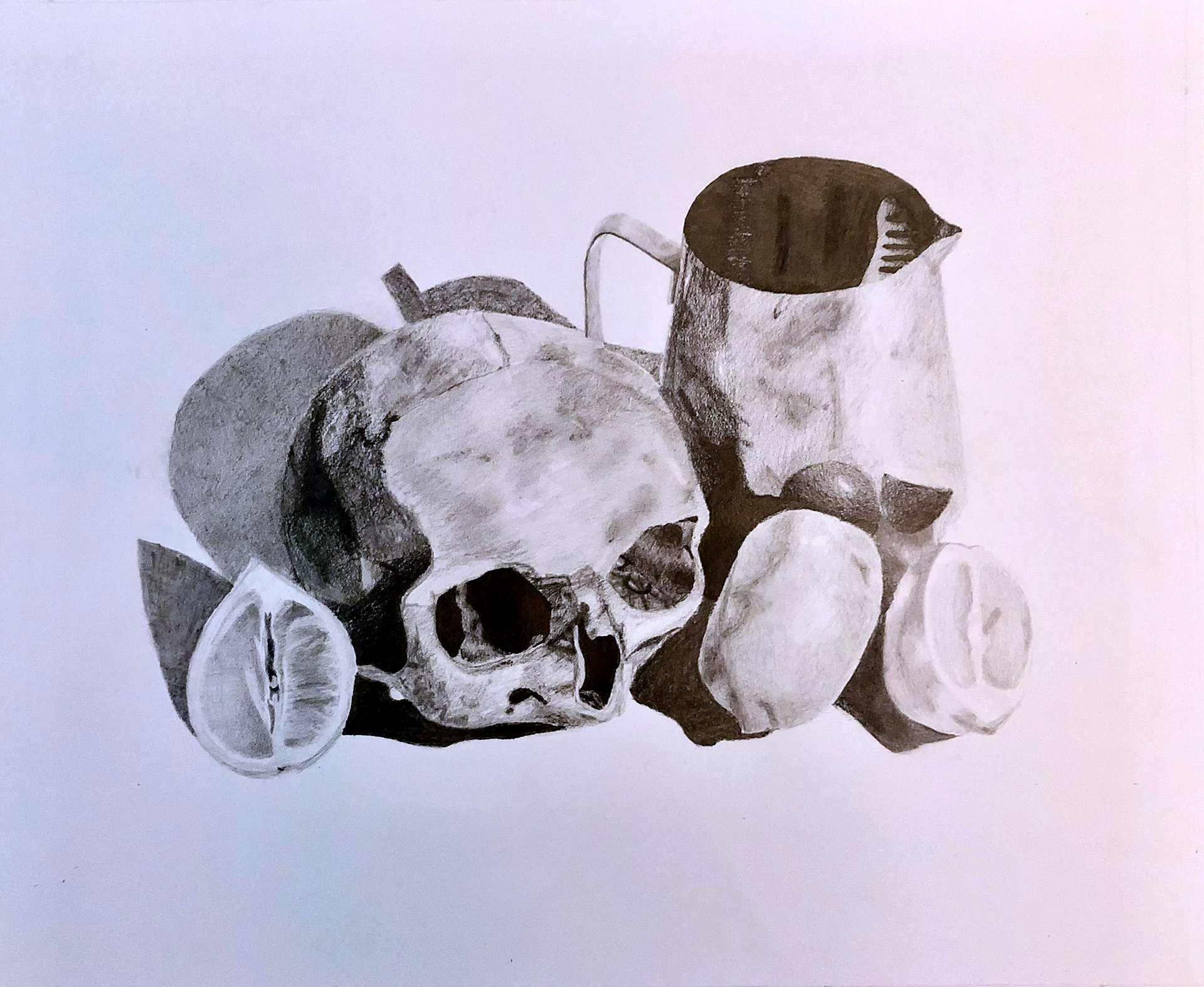 Maya Marsh: "Skull and Lemons" Drawing