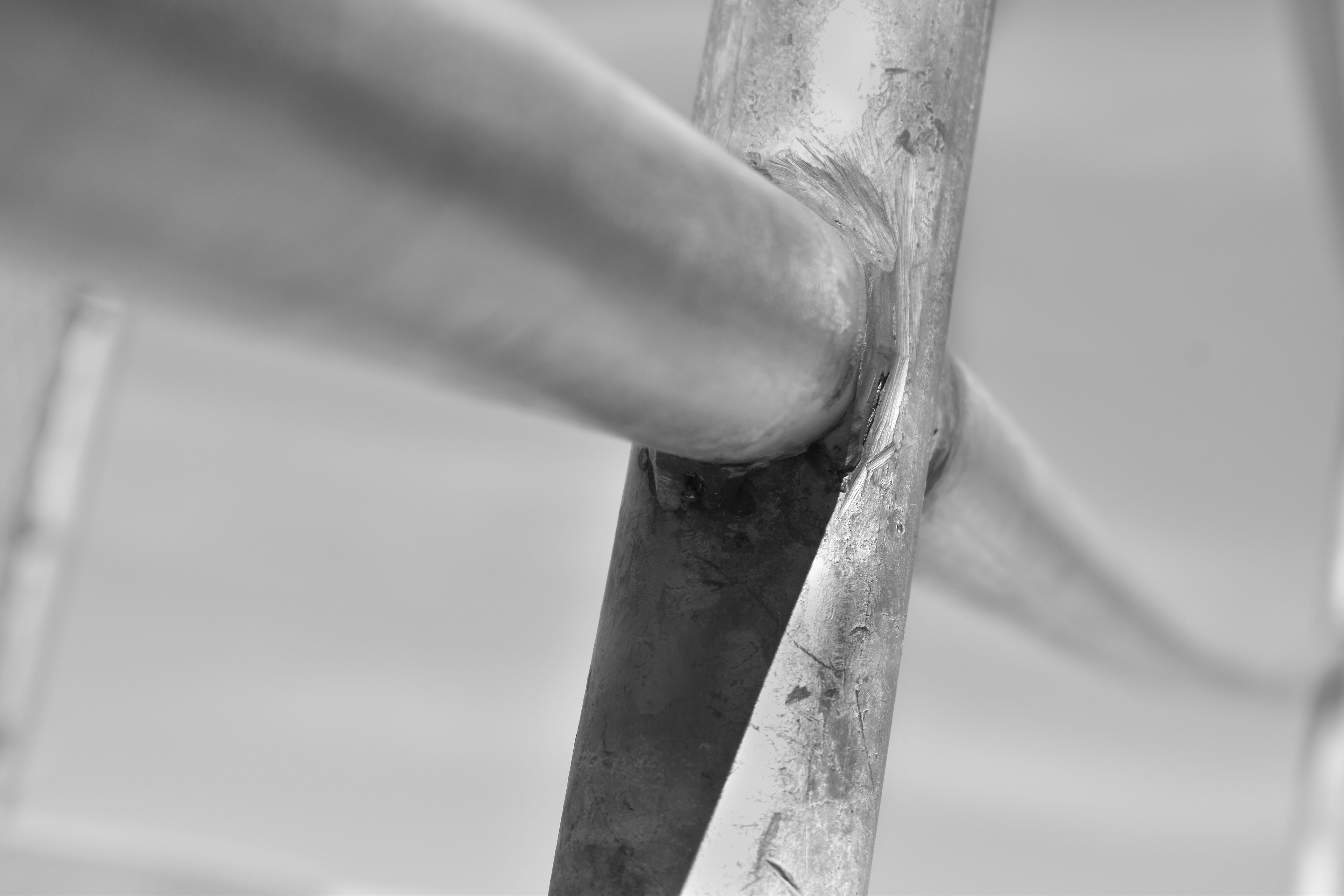 Nova Genotte: "Focus: Photography 