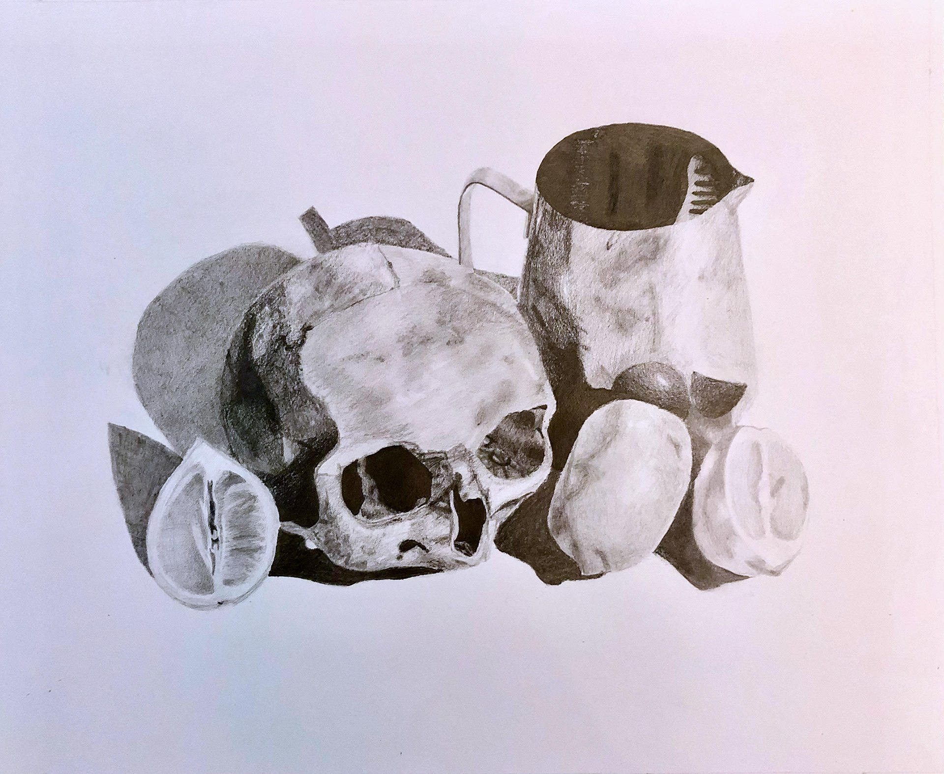 Maya Marsh. Skull with Lemons. Drawing