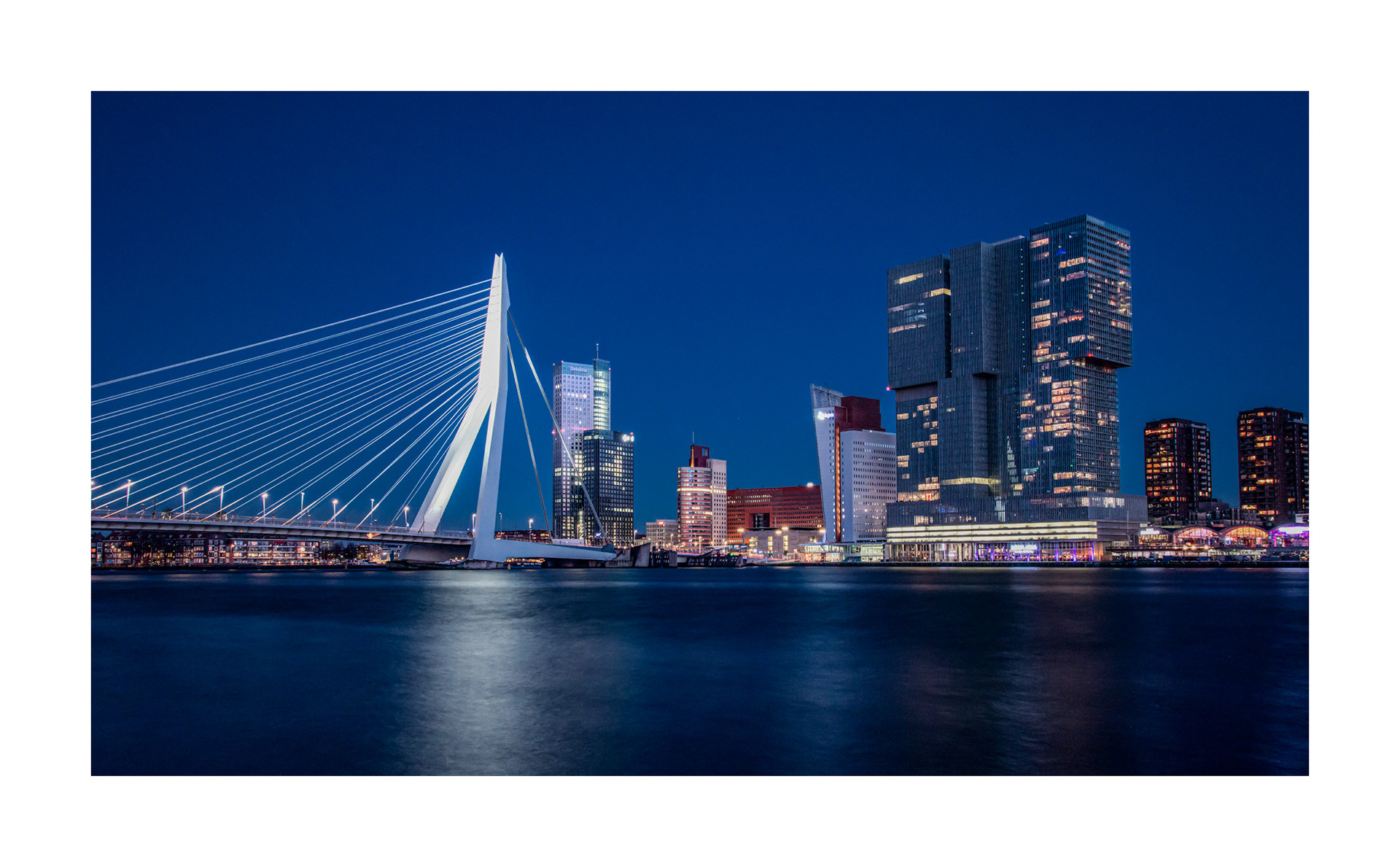 (ORDER CODE 0007) Rotterdam Erasmusbrug