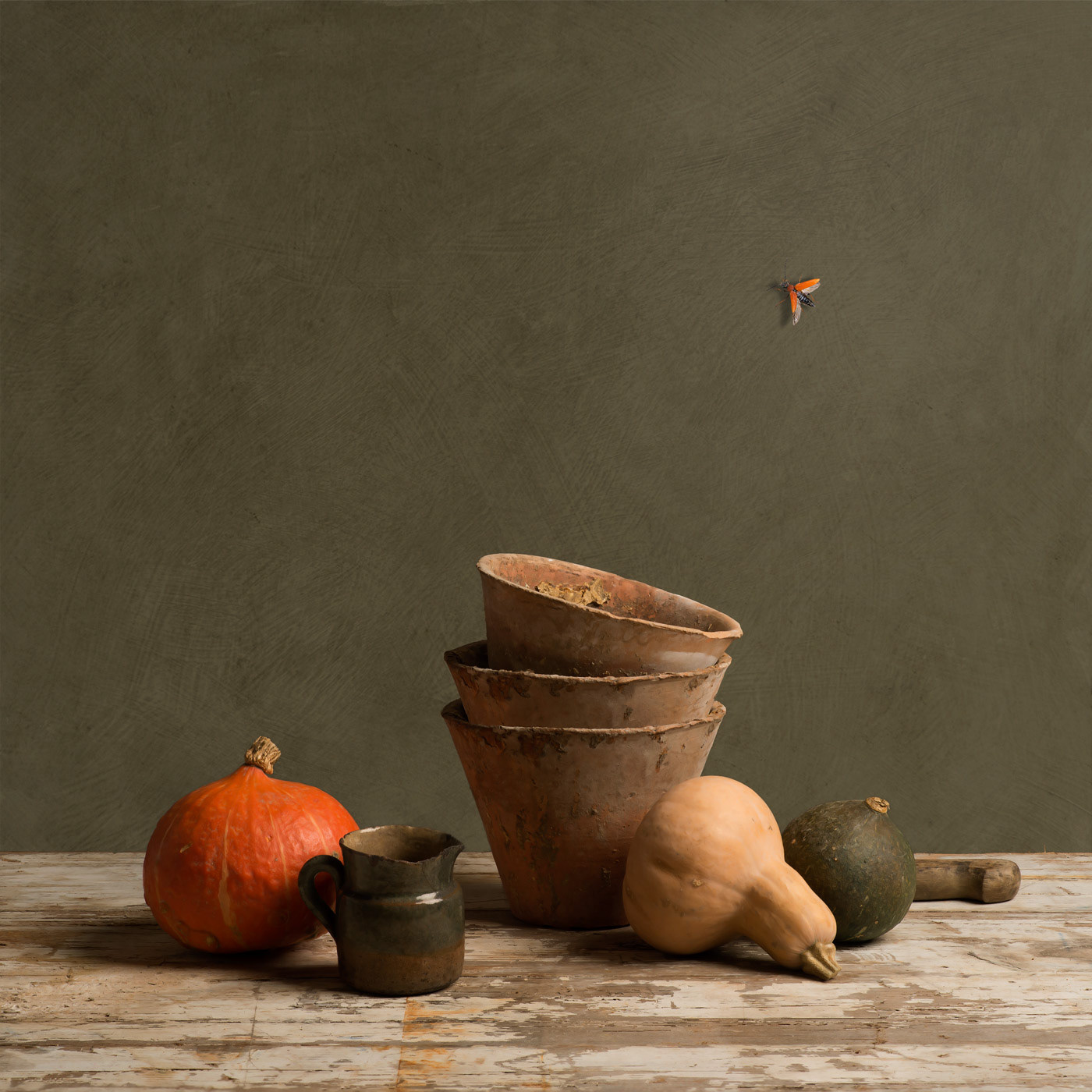 Courges