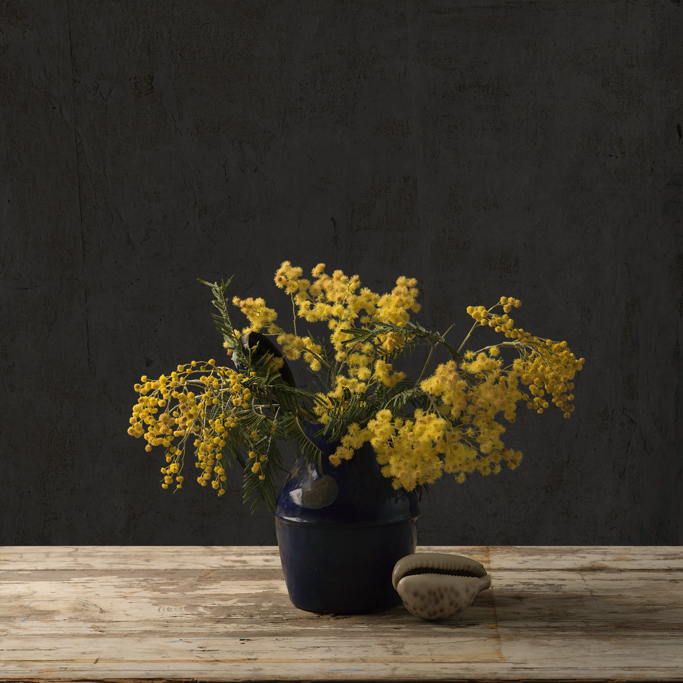 Mimosa limited