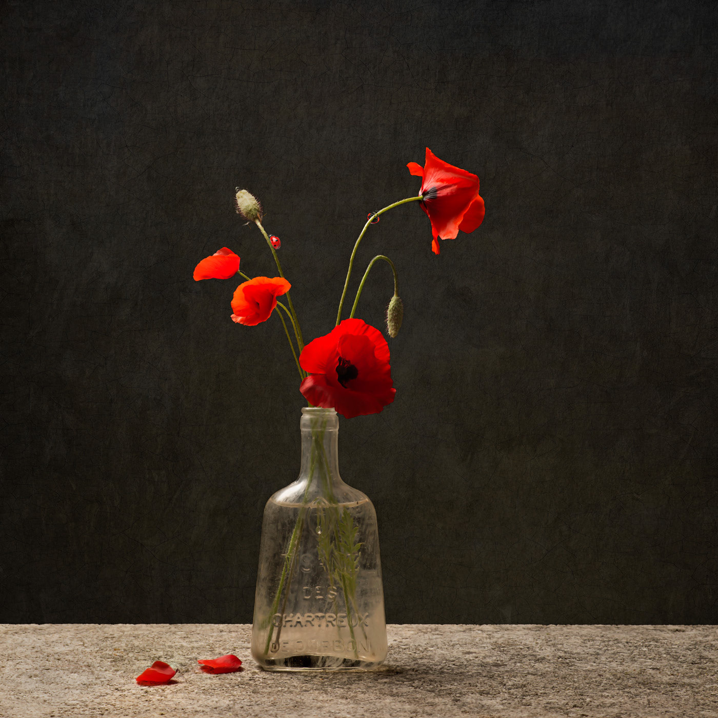 Coquelicot limited