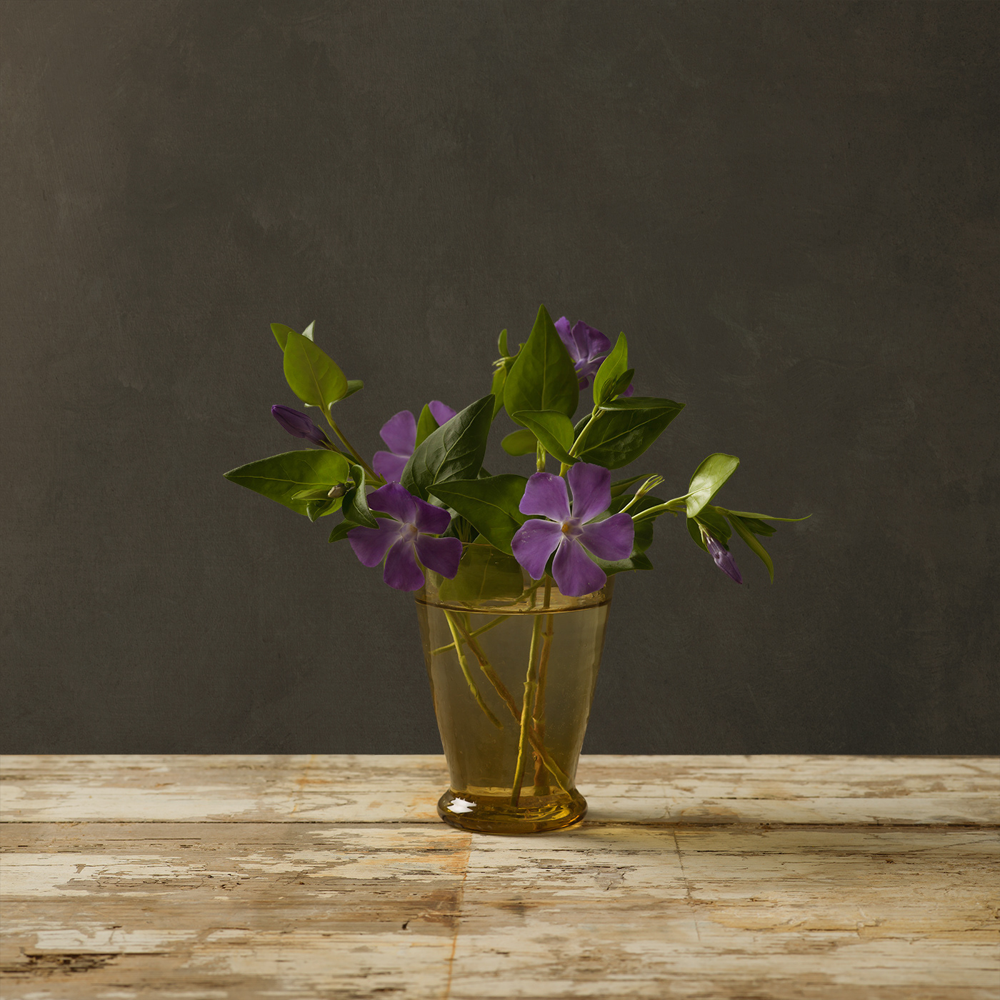 Vinca limited