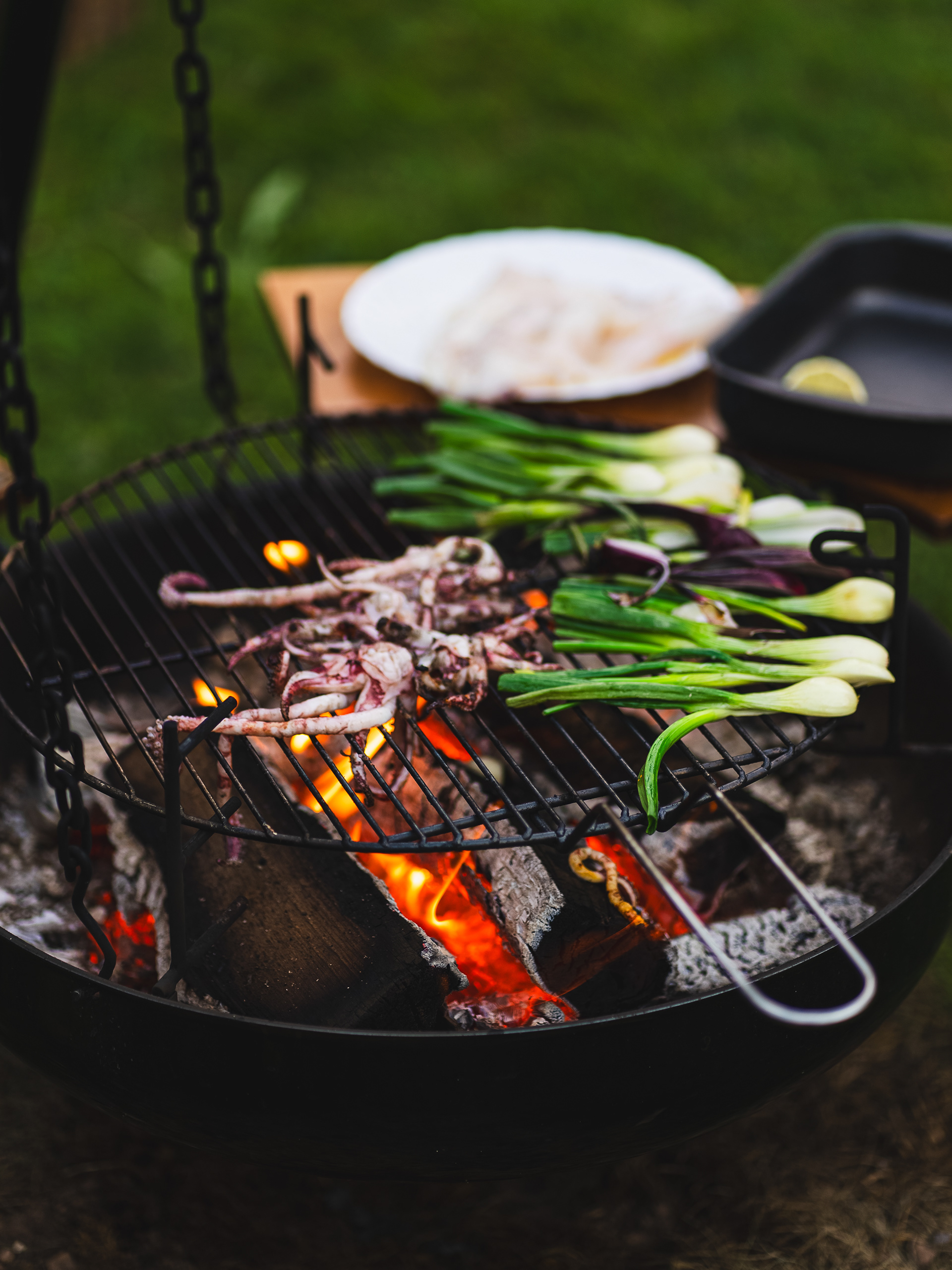 Cooking squids and green onions on a grill