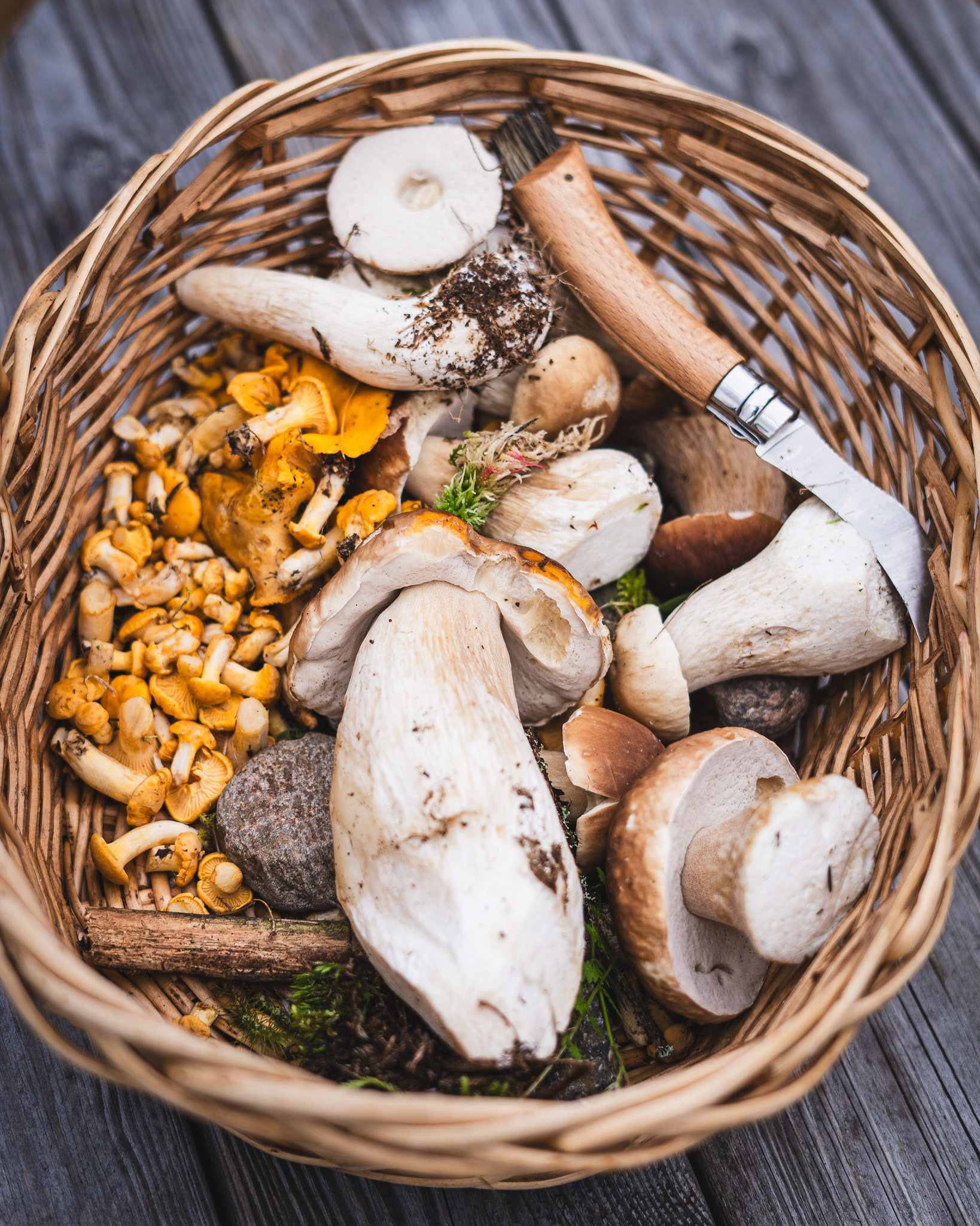 Basket full of mushrooms