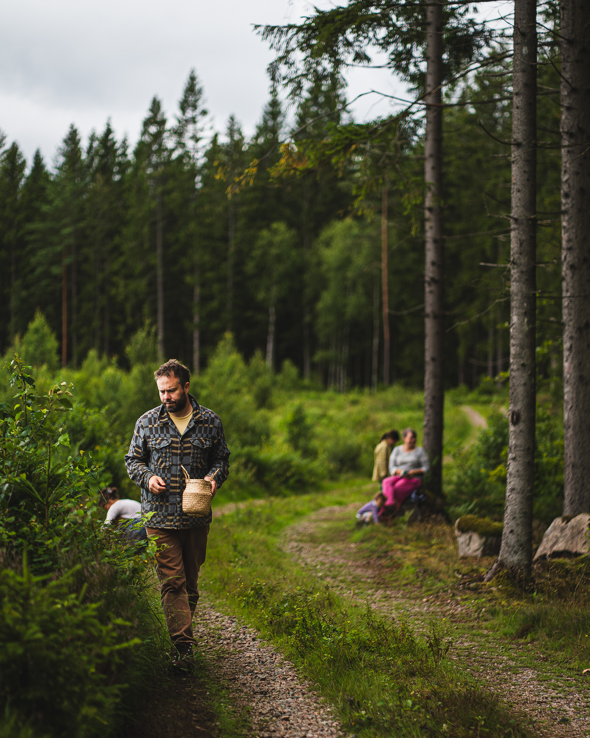Foraging for mushrooms and berries