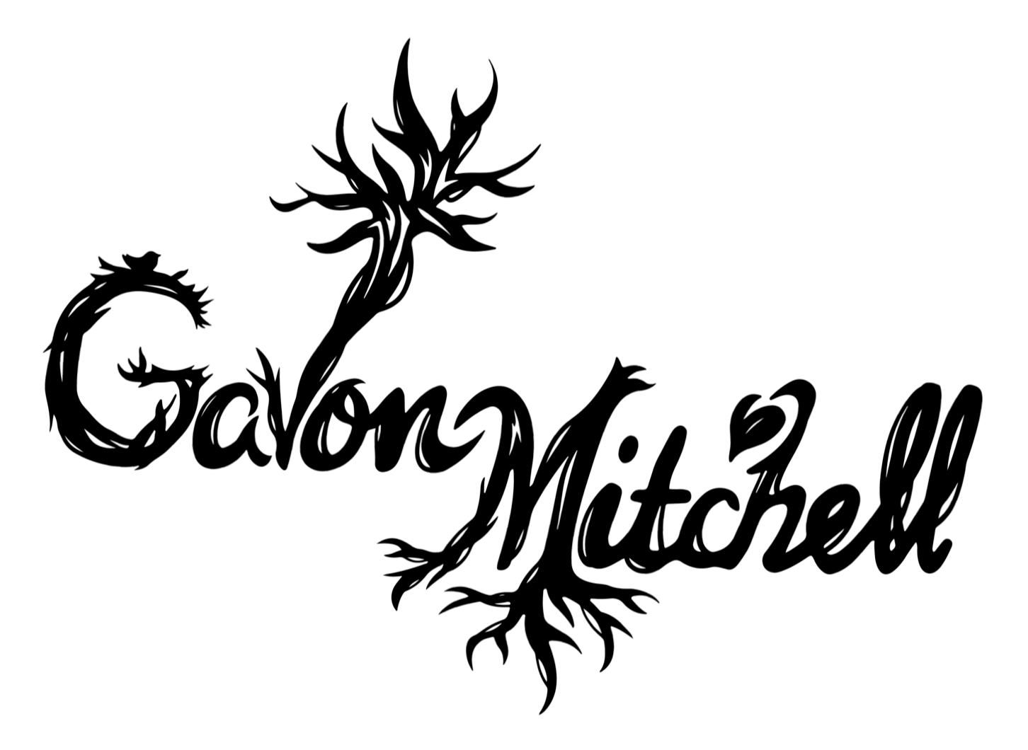 Gavon Mitchell - folk musician