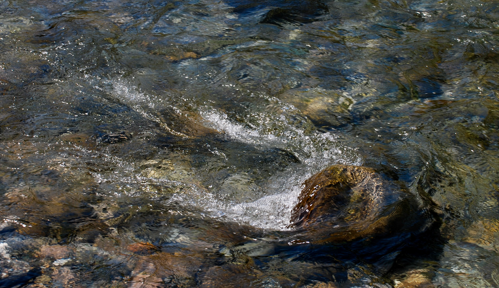 DSC_0343