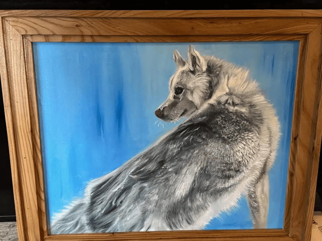 oil on 16x20 stretched canvas - Brett Mayes Husky commission