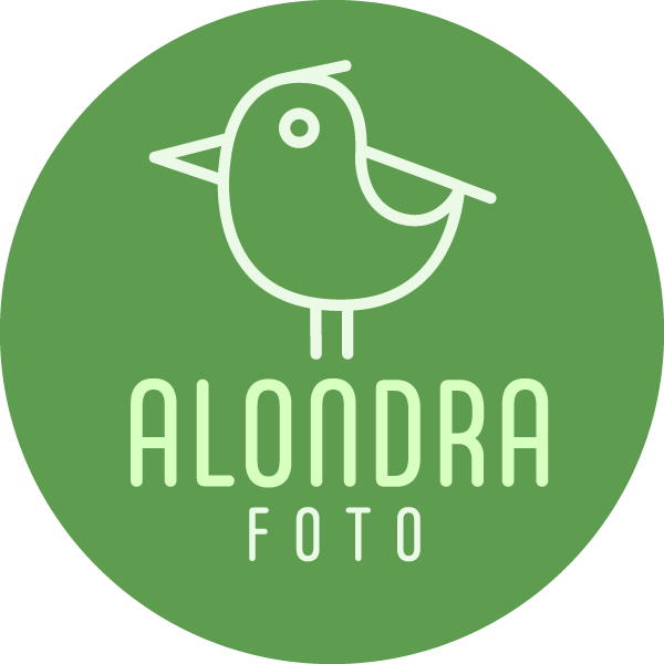 Alondra Foto