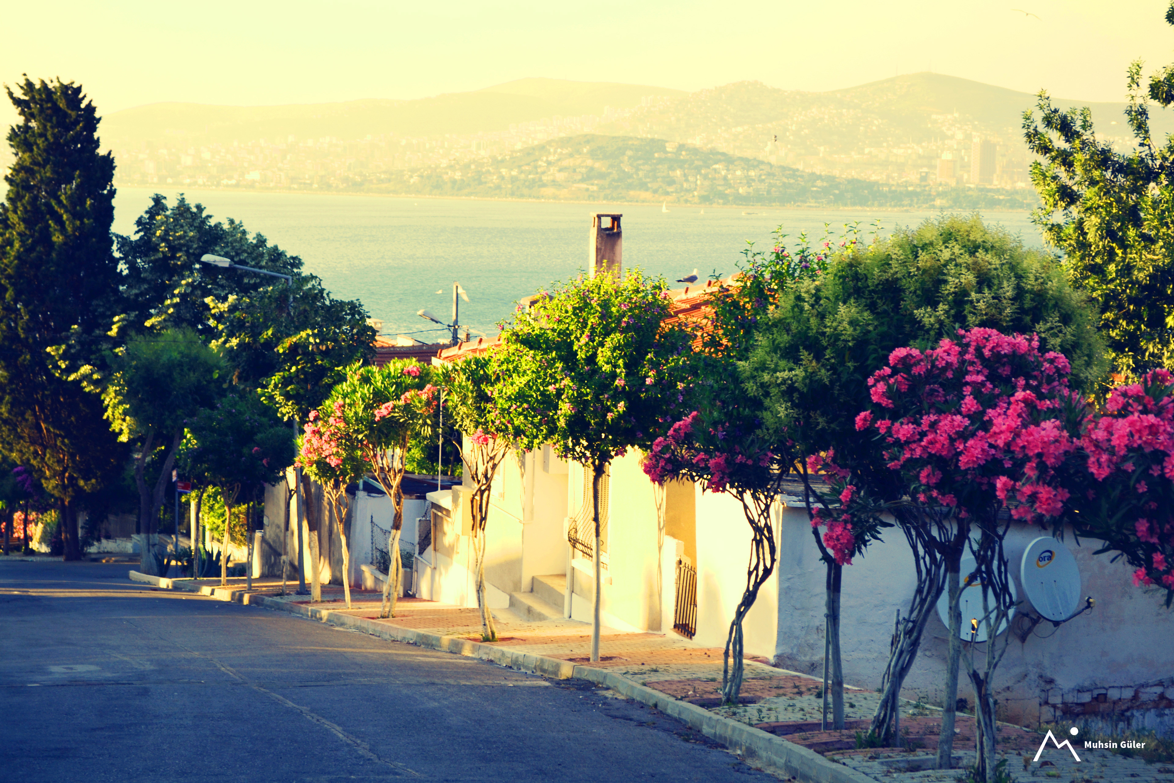 Serene Seascape: A View of Büyükada's Lush Landscape