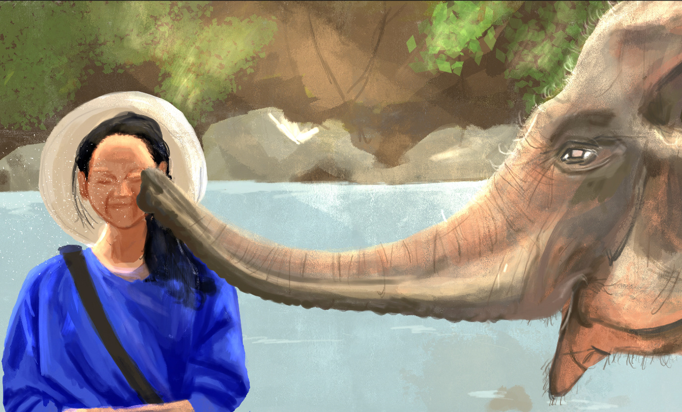 Playful elephant series 2024