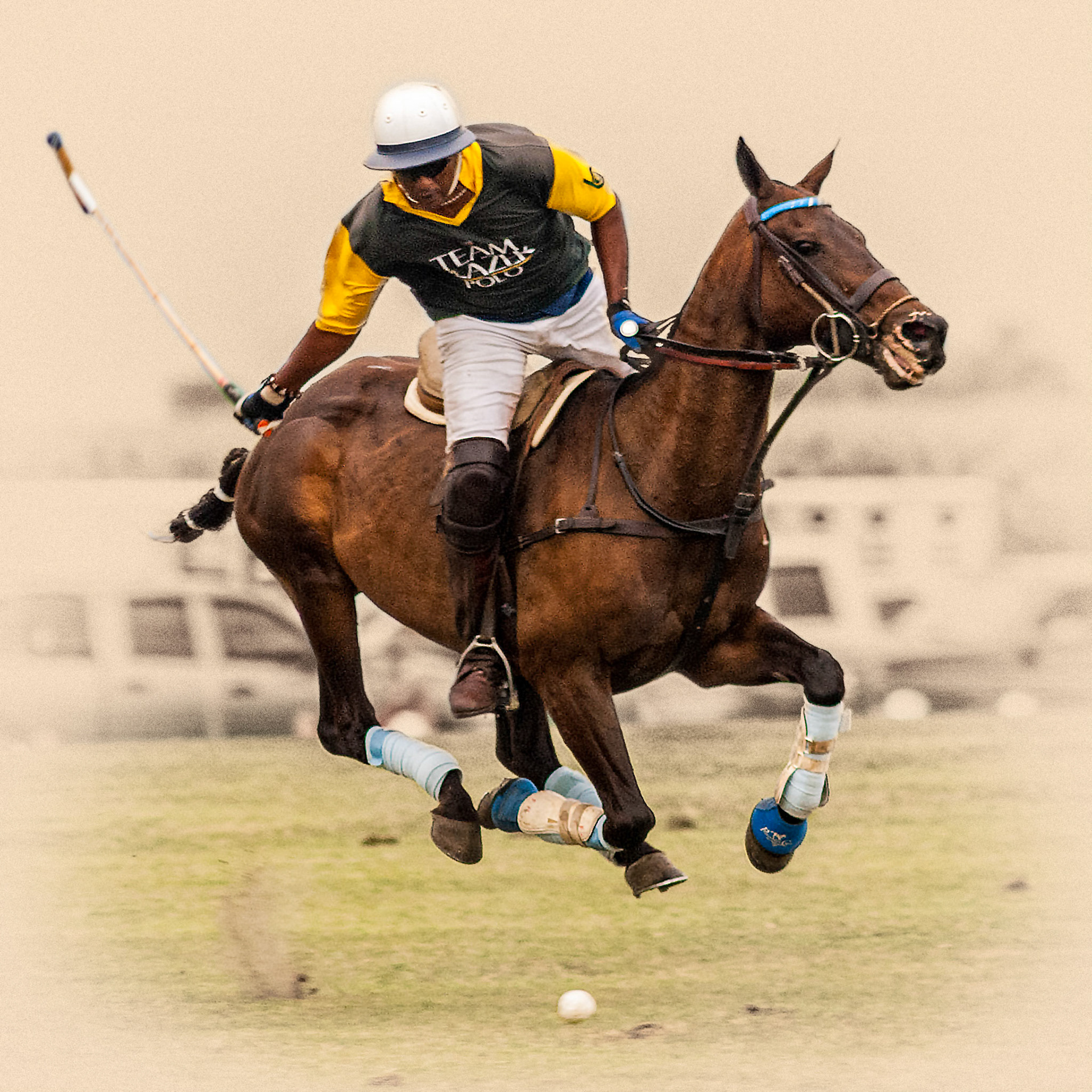 Twin Cities Polo Club 20th Anniversary