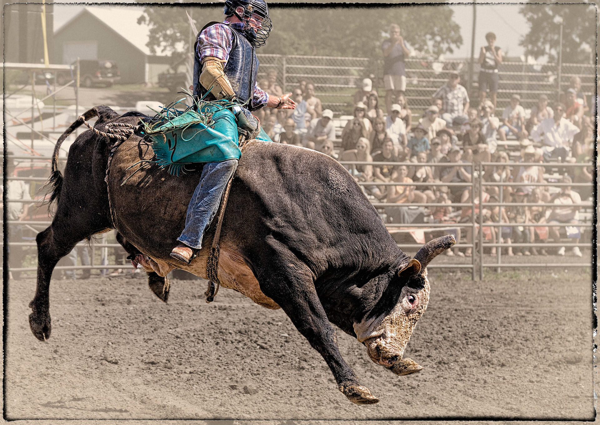A Bull May Be  Airborne More Than On the Ground.