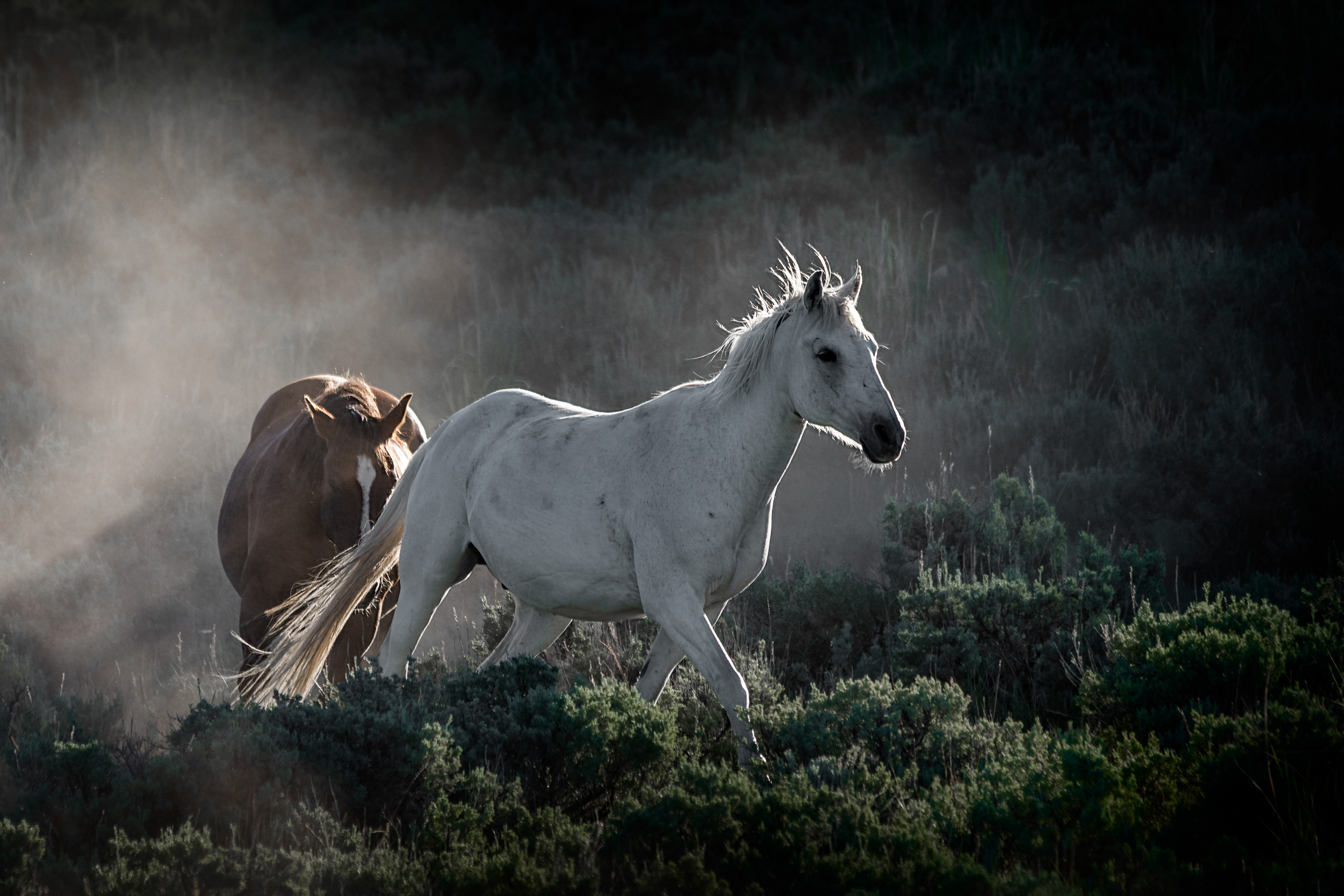 Dusty Run