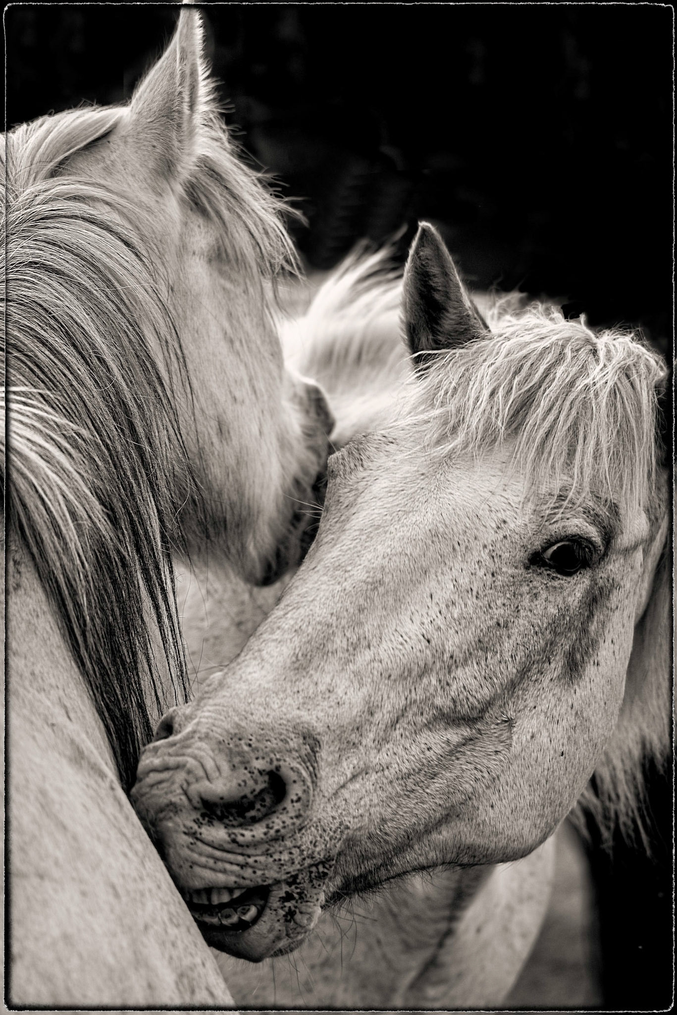 Close Friends