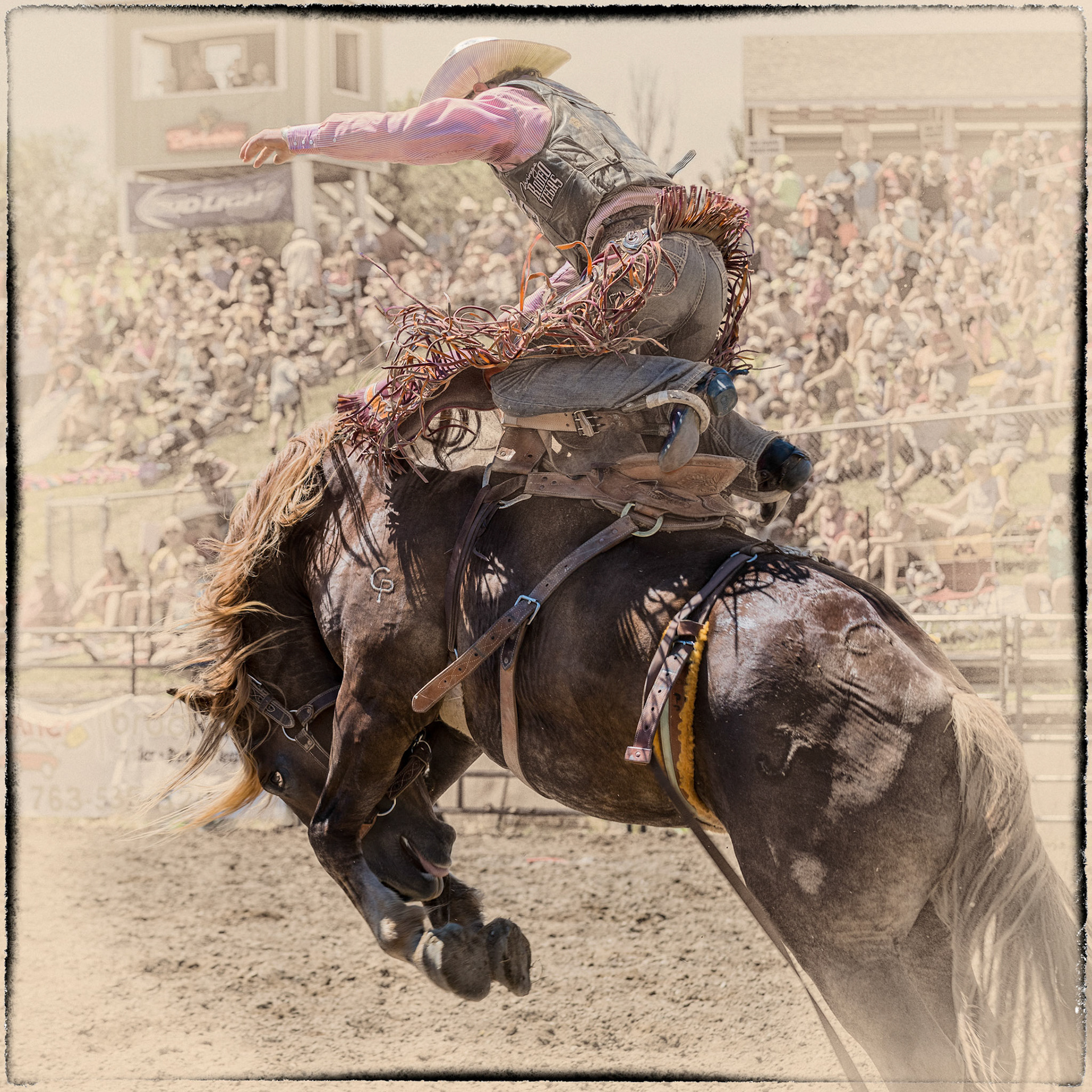 Off the Saddle