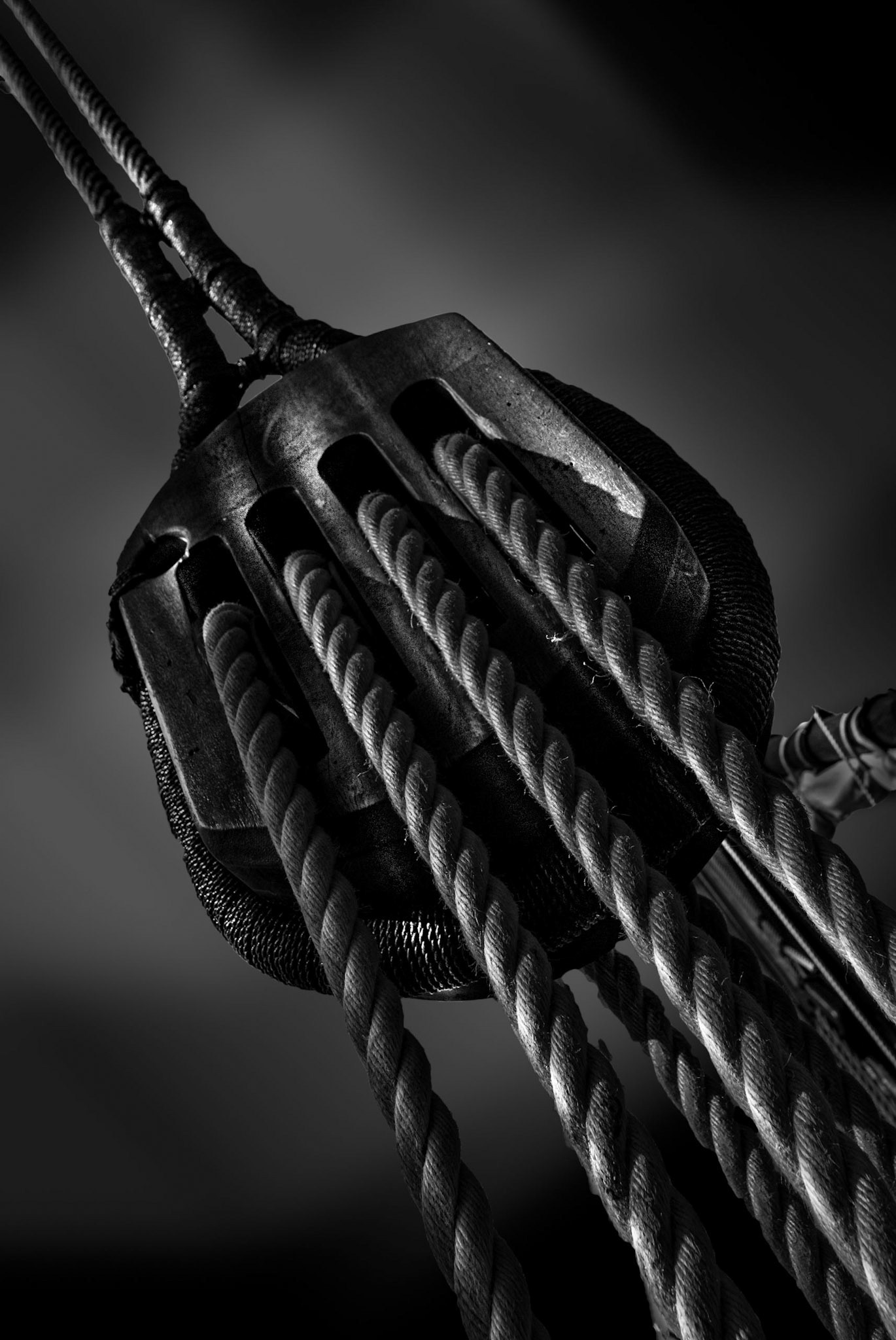 Nina's Rigging