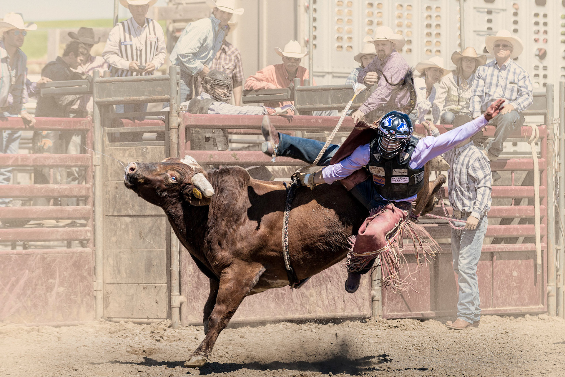 Cole Elshere on Punch, Faith, SD