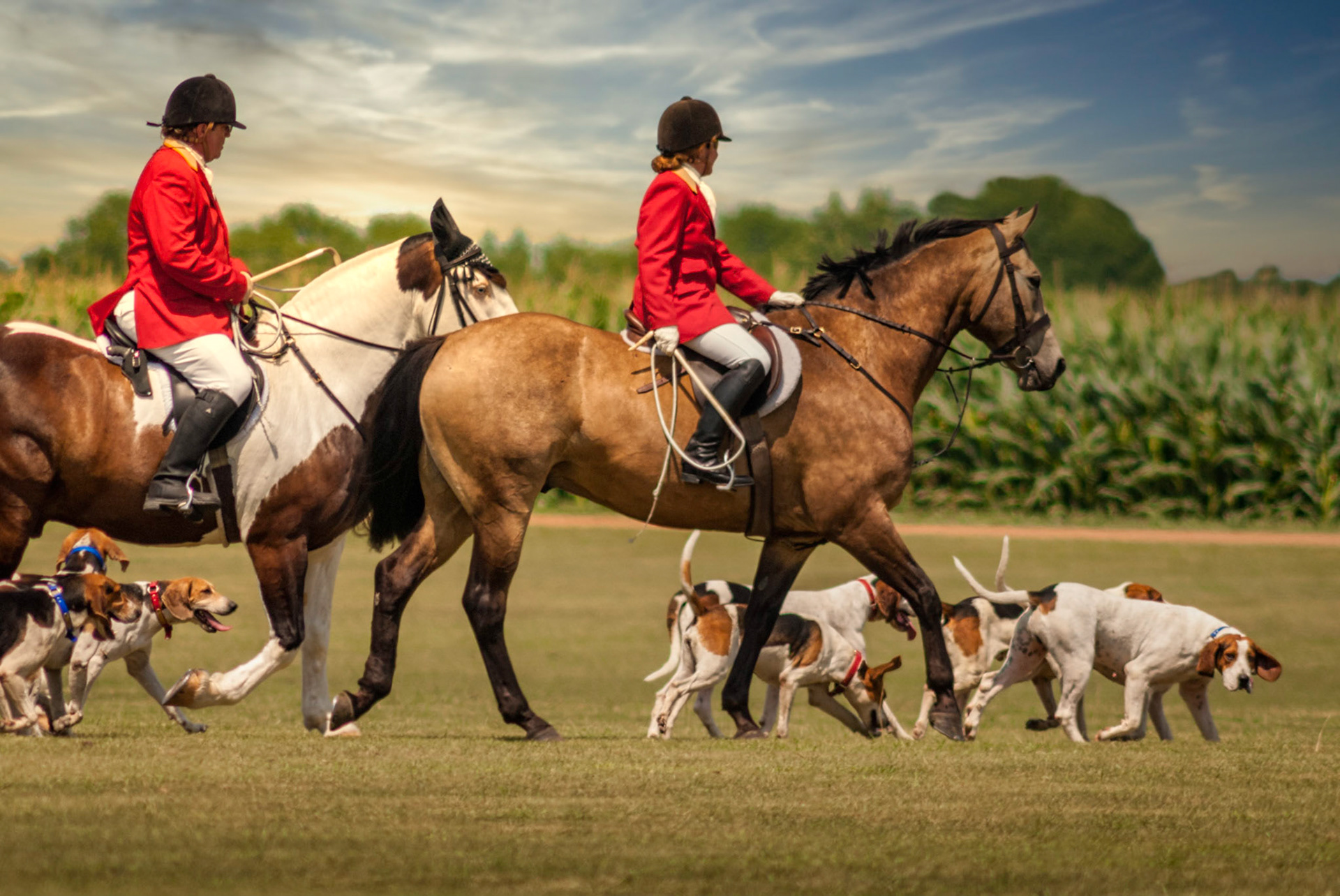 Fox & Hounds