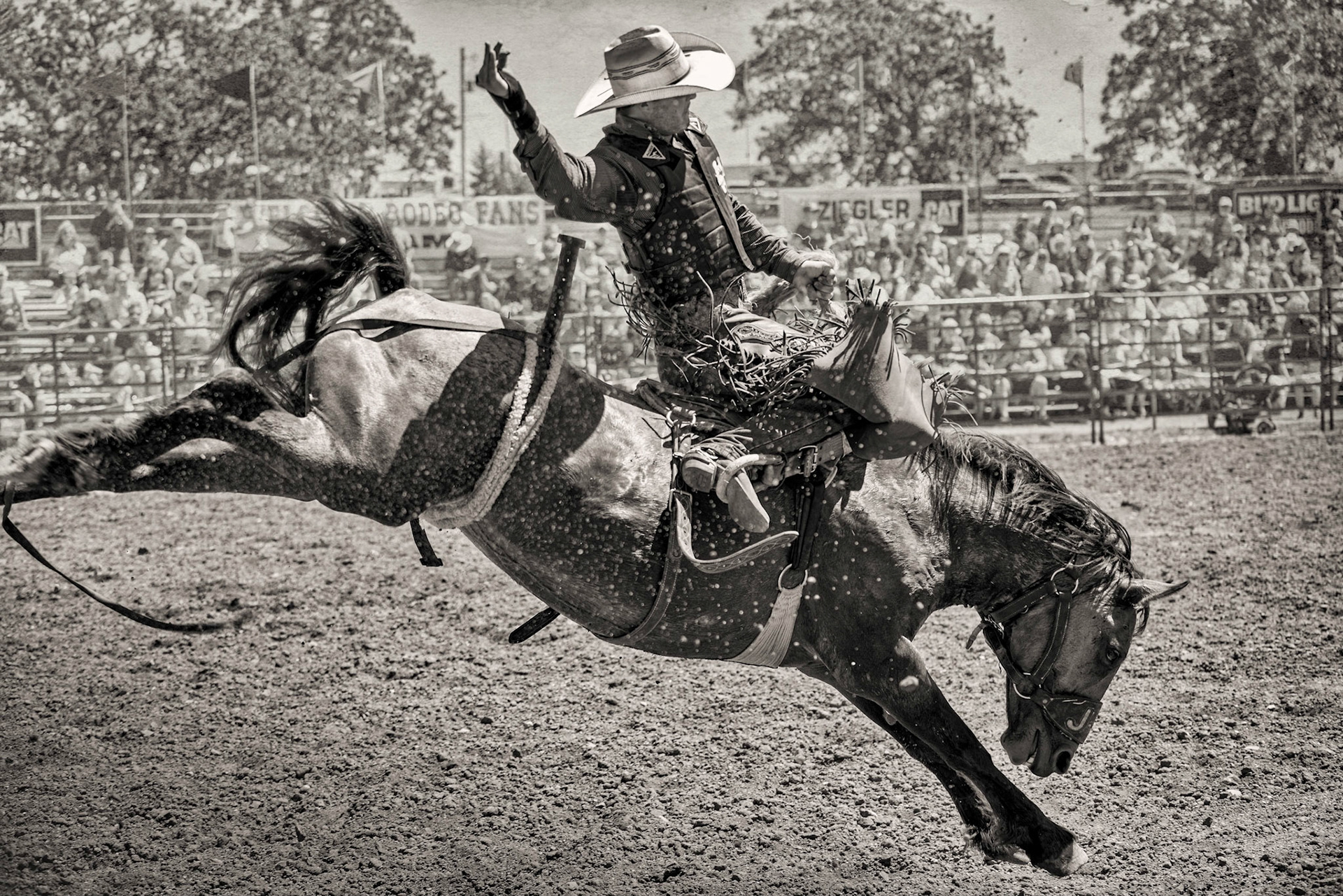 Audy Reed on Burch Coolee, Spearman, TX