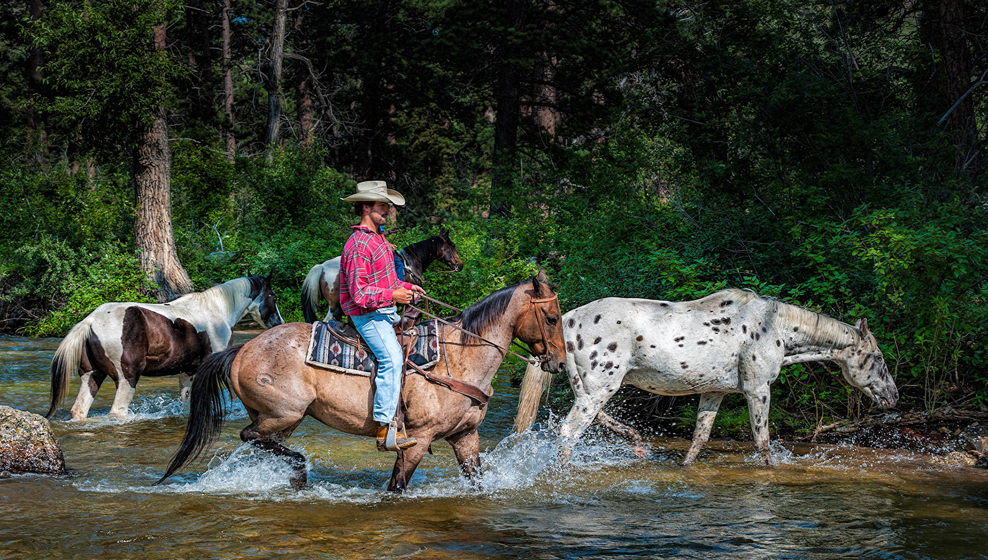 Creek Crossing