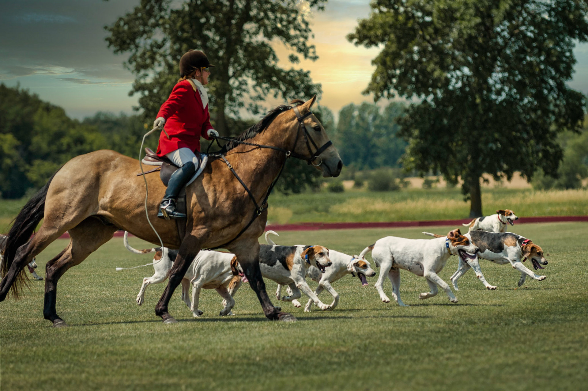 Fox & Hounds