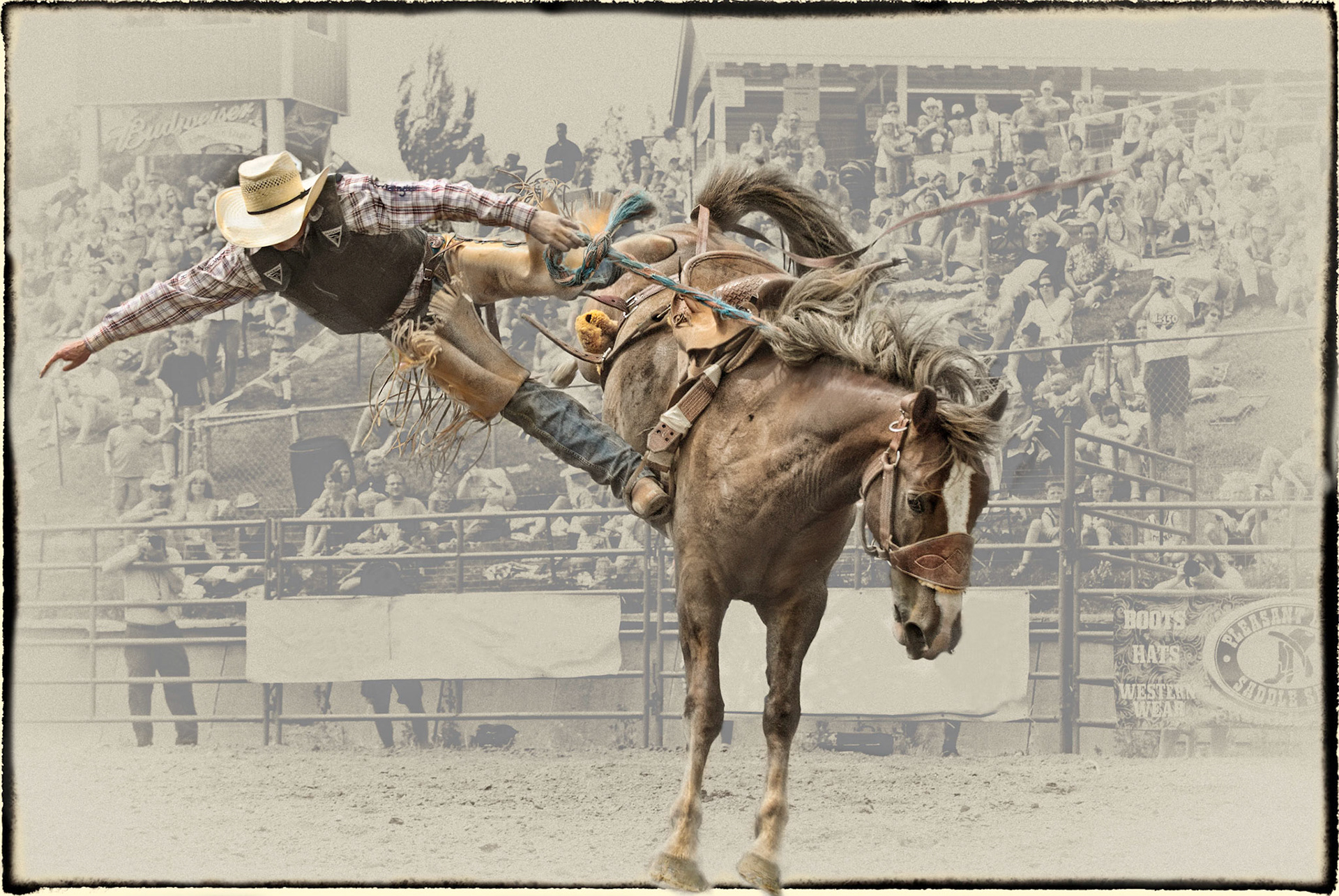 A dramtic exit off a saddle broc.
