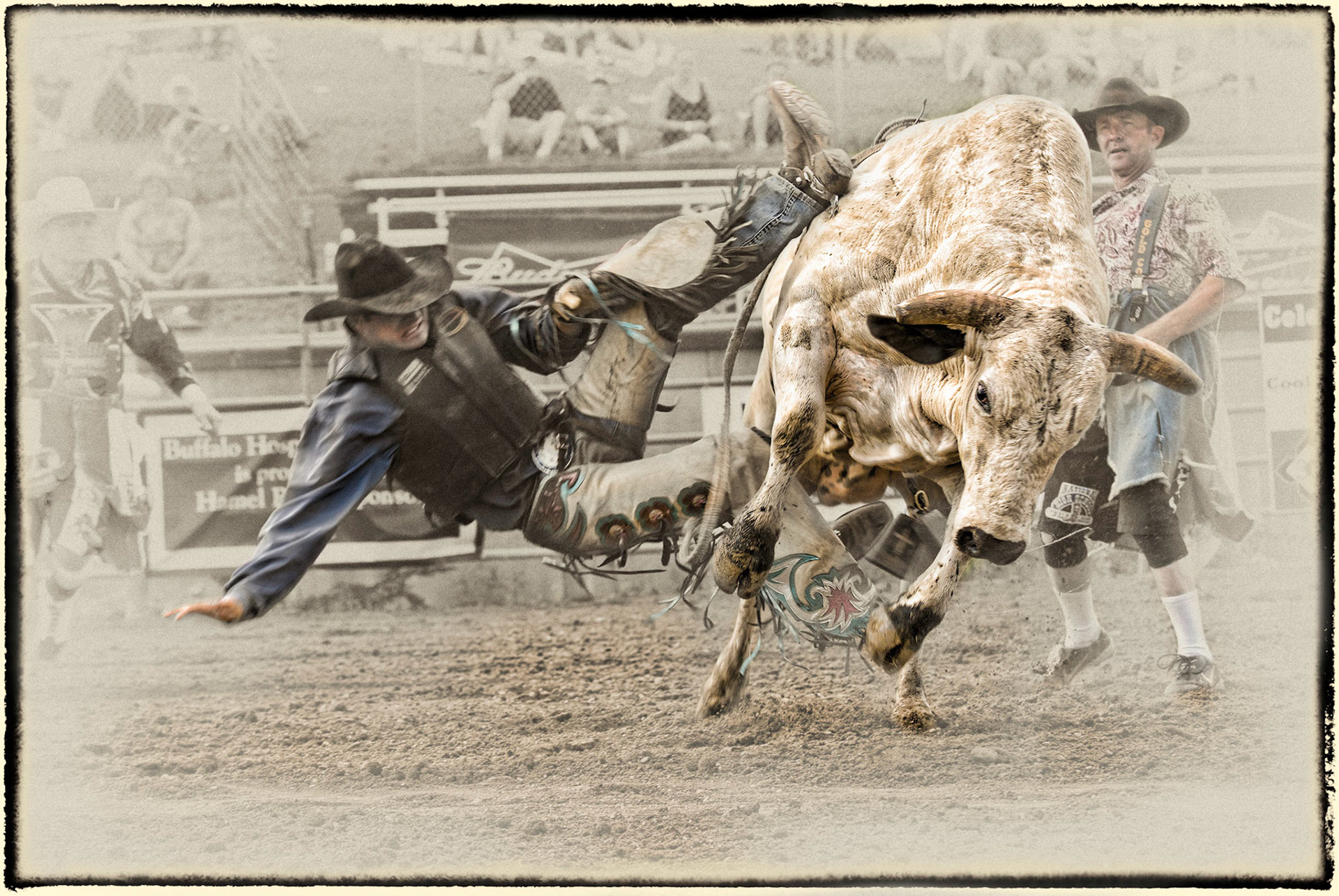 PRCA Bull Riding