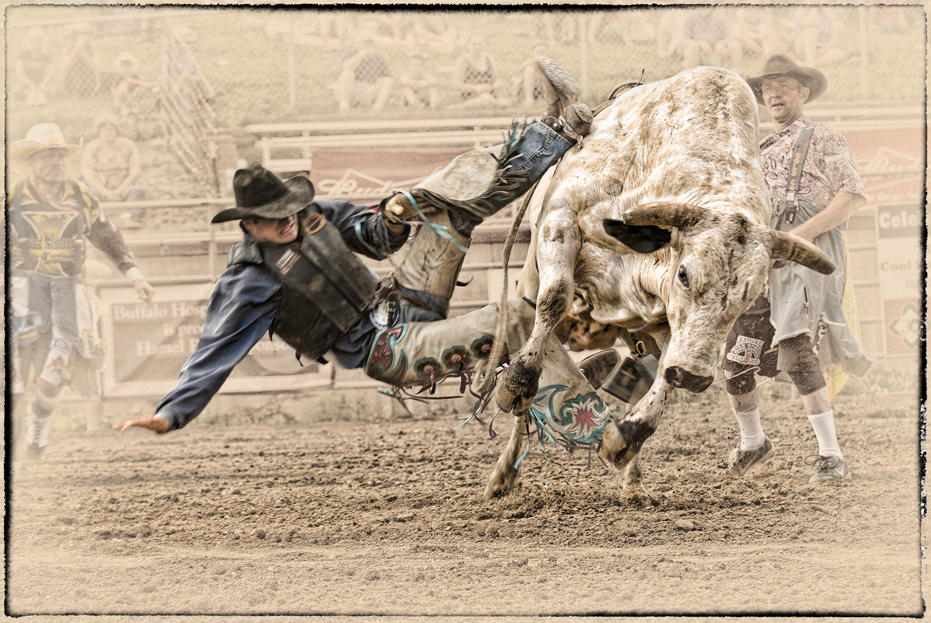 PRCA Bull Riding