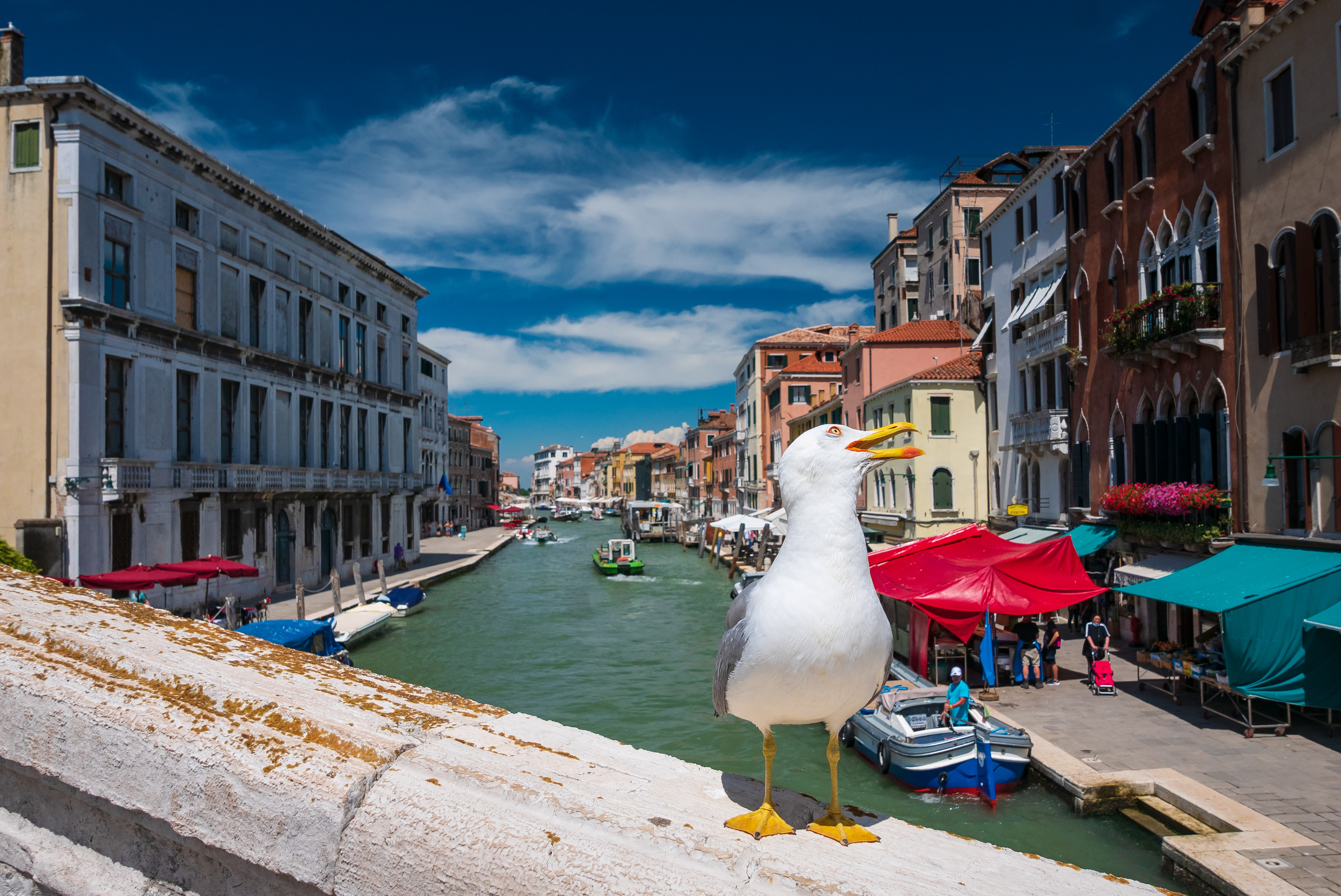 Venezia