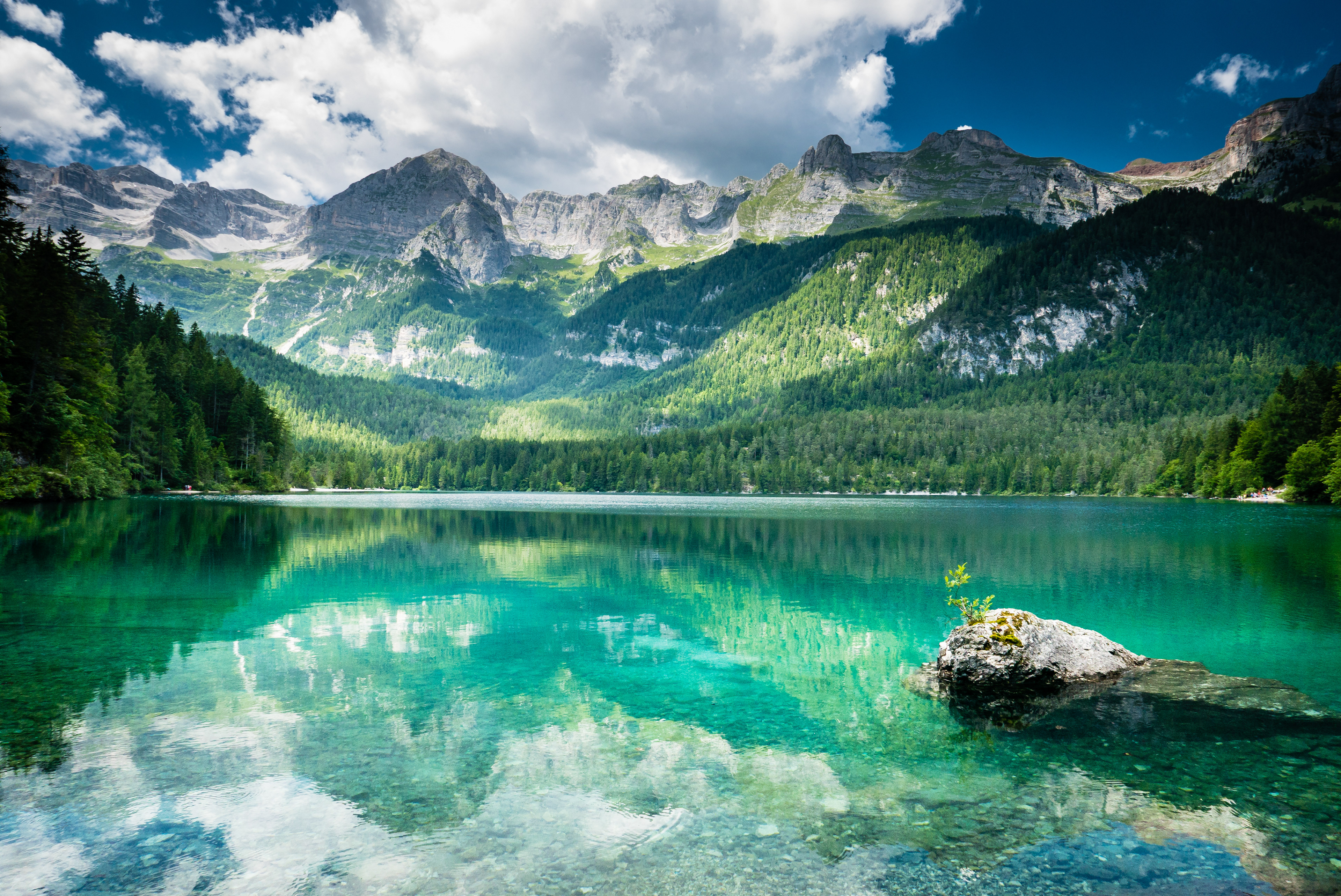 Lake View