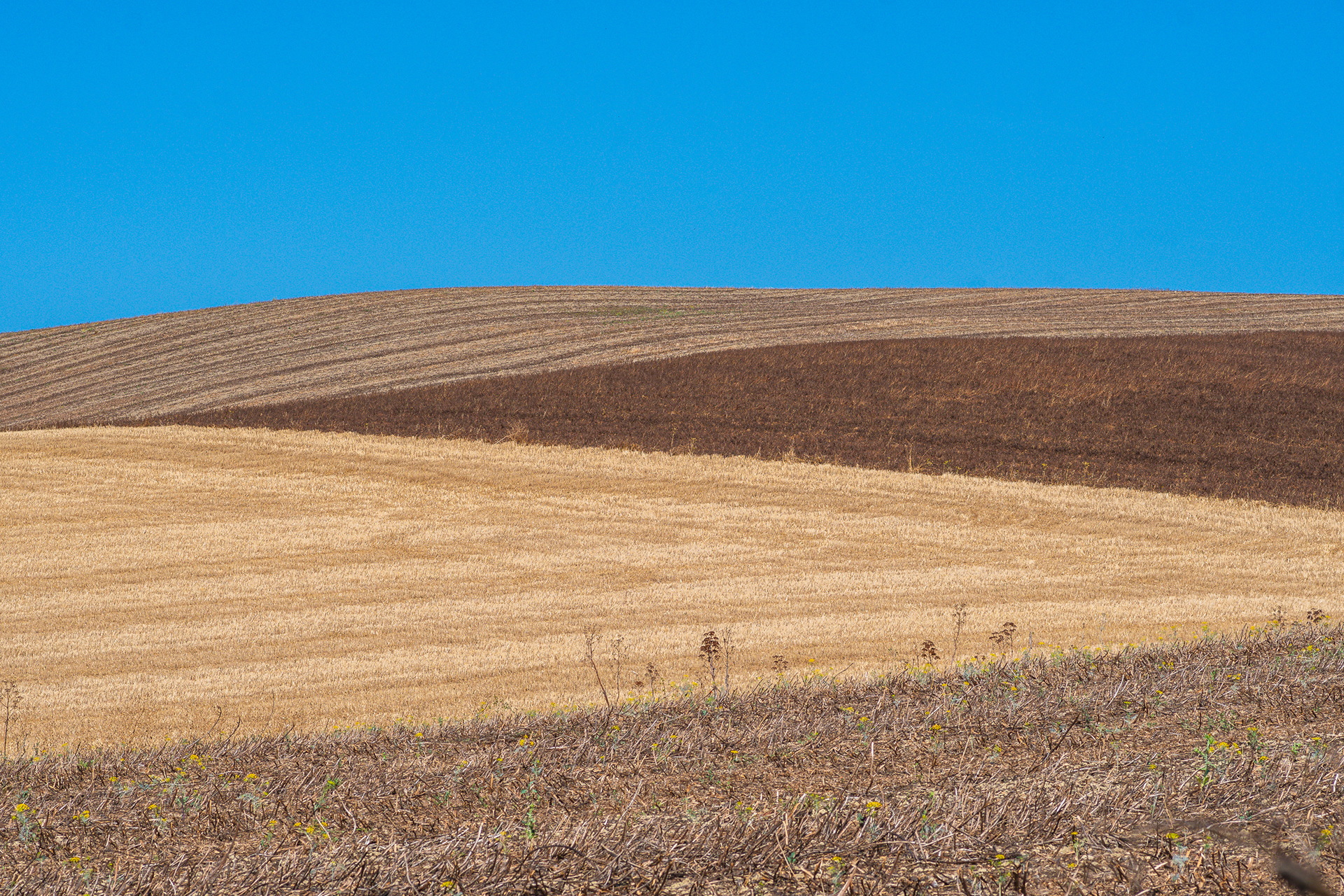 Paesaggio di Campagna
