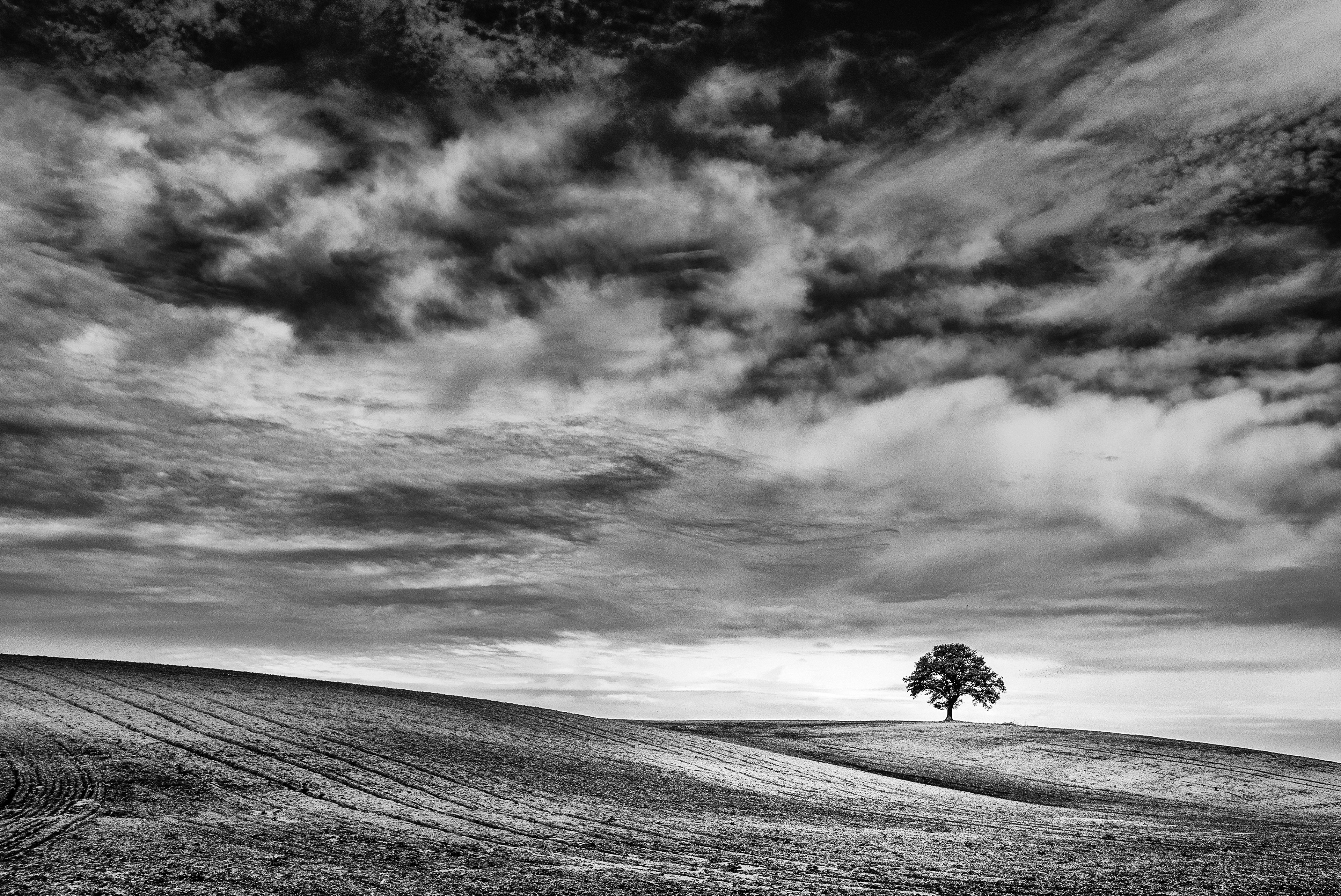 Paesaggio