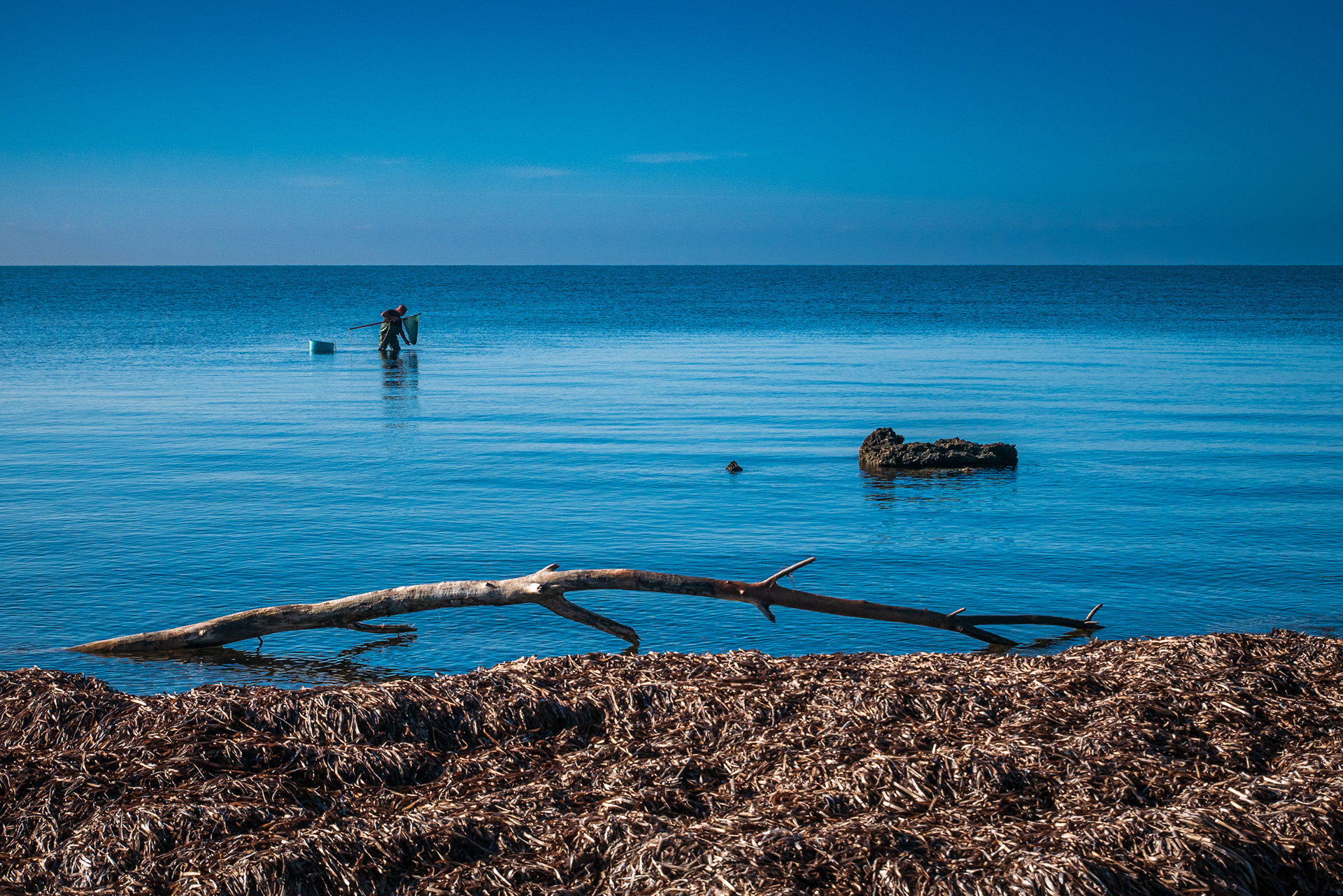 Pescatore alla Frasca