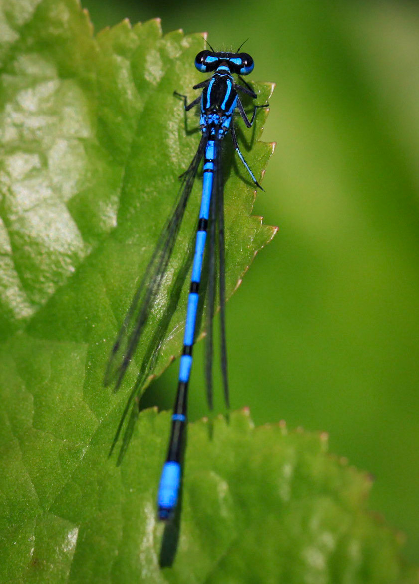 2011-06-03 at 12-39-31