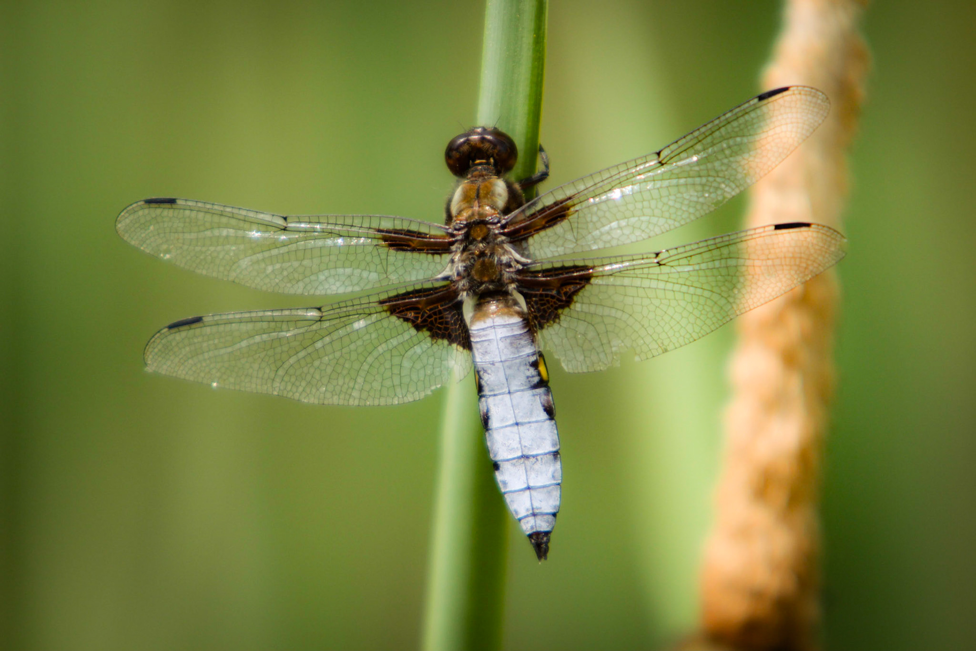 2010-07-04 at 12-09-34