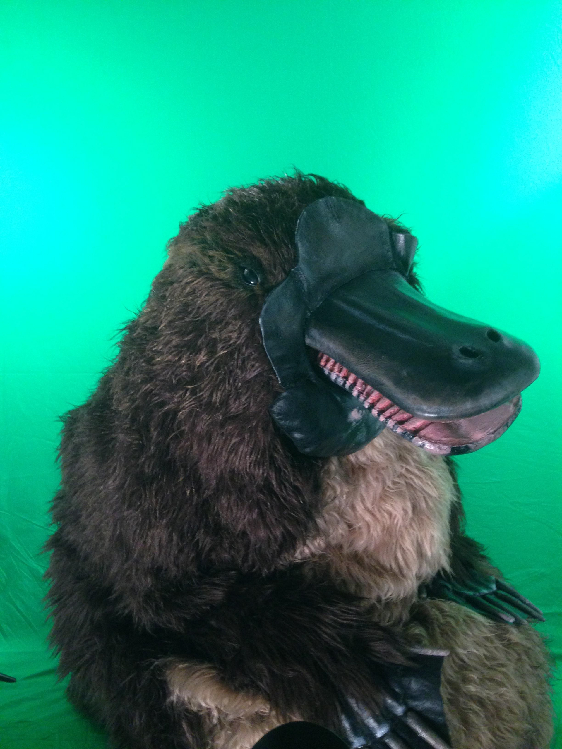 Custom Creature Design and Build