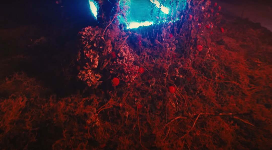 Flower and Moss Placement