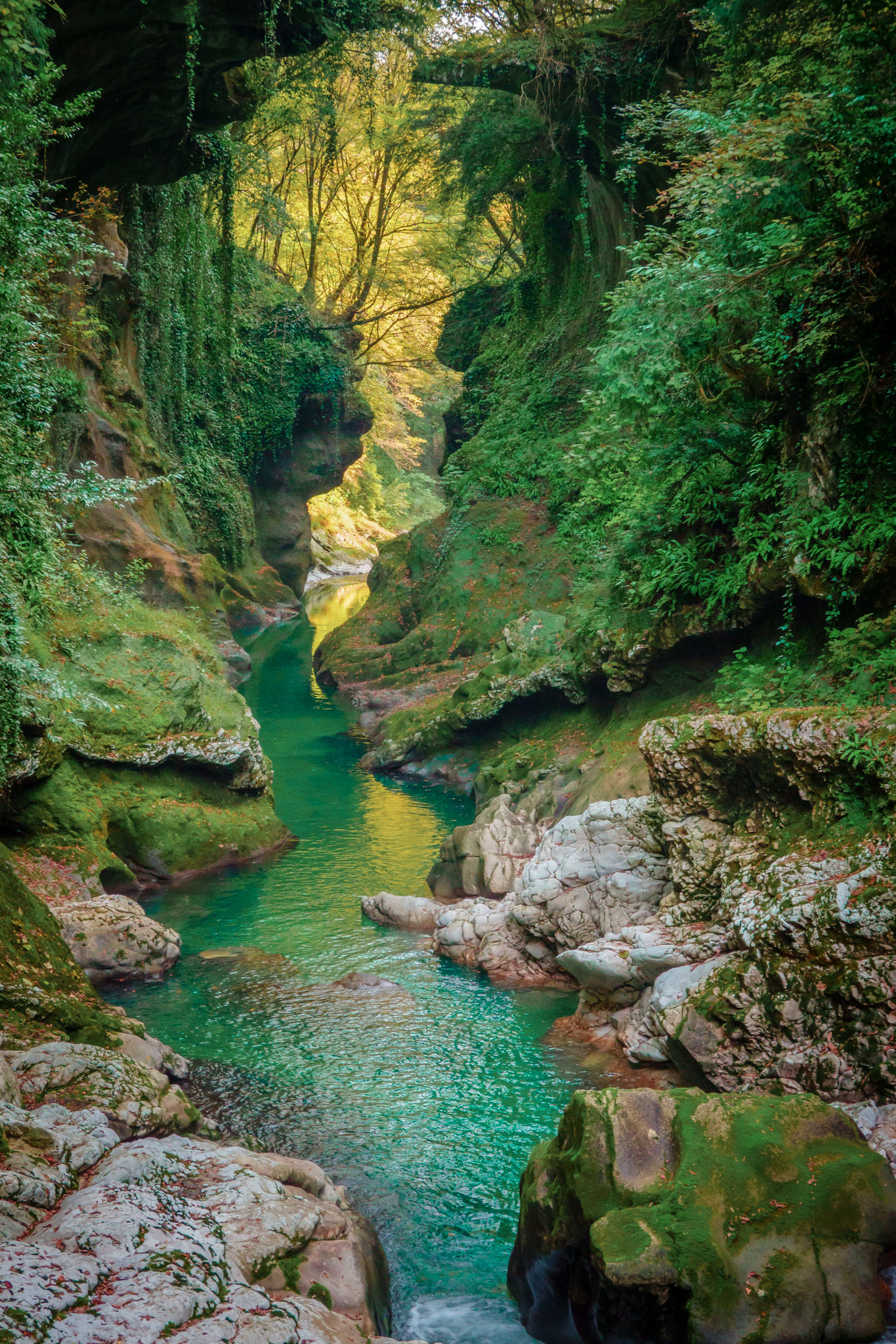 Calm river flowing through ravine with green walls on sunny summer day in highlands at Martvili Canyon, Georgia