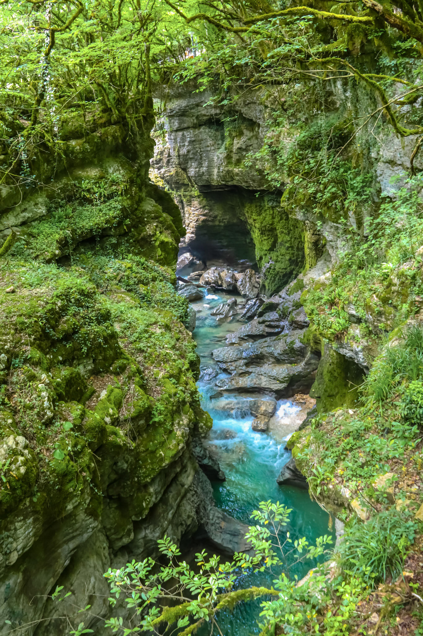 Martvili canyon in Georgia. Beautiful natural canyon with view of the mountain river Abasha