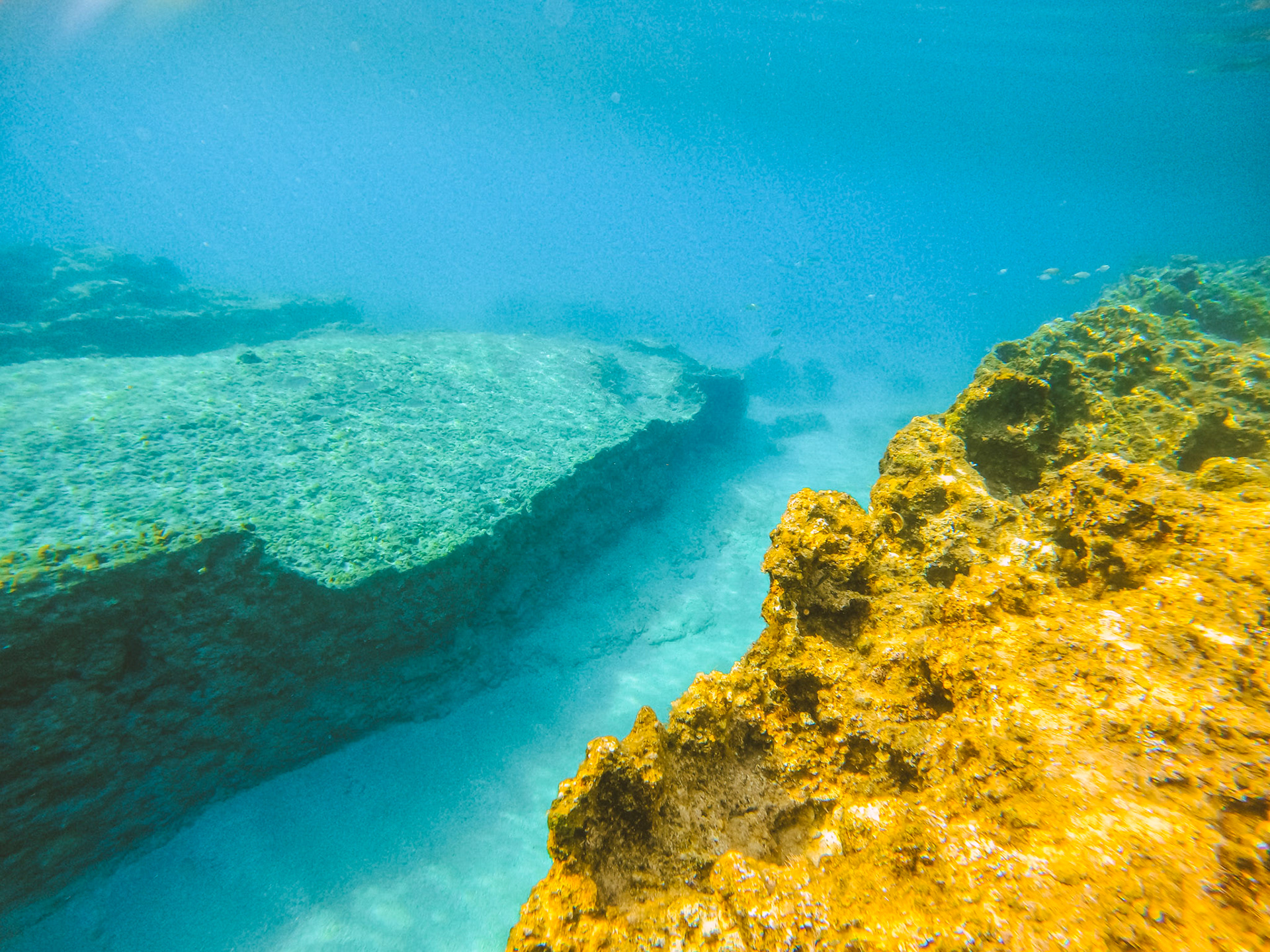 DCIM\100GOPRO\GOPR0730.JPG